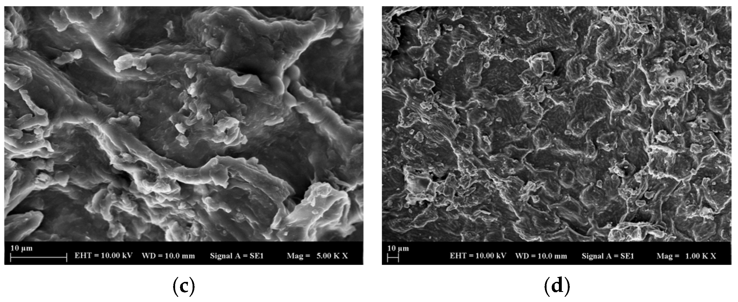 Molecules 30 04039 g001b