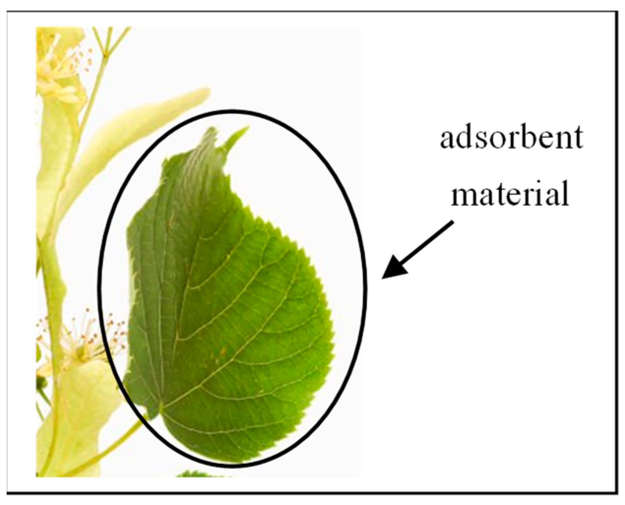 Molecules 30 04039 g016