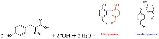 Molecules 30 04046 sch001 Molecules 30 04046 sch001