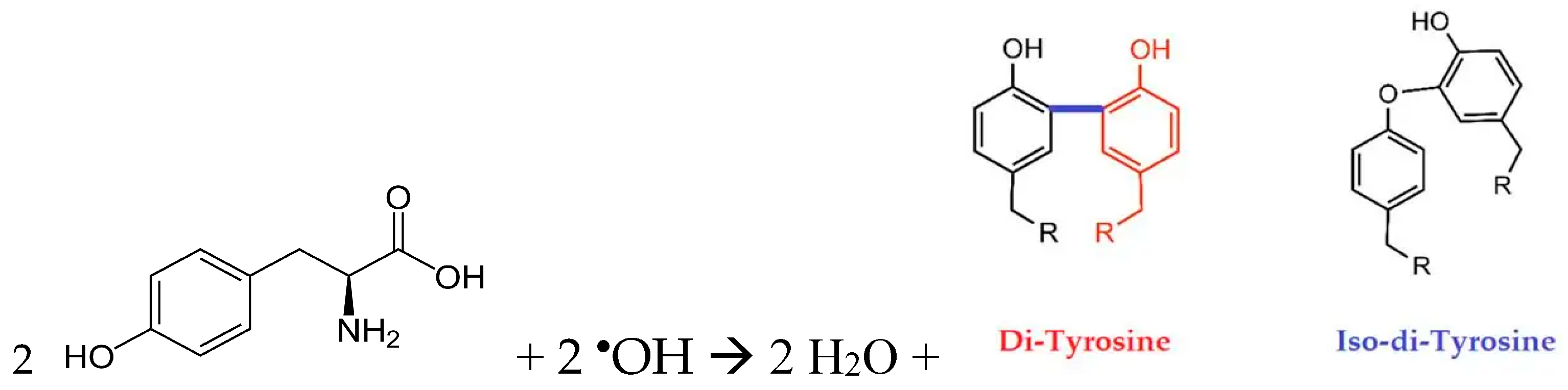 Molecules 30 04046 sch001