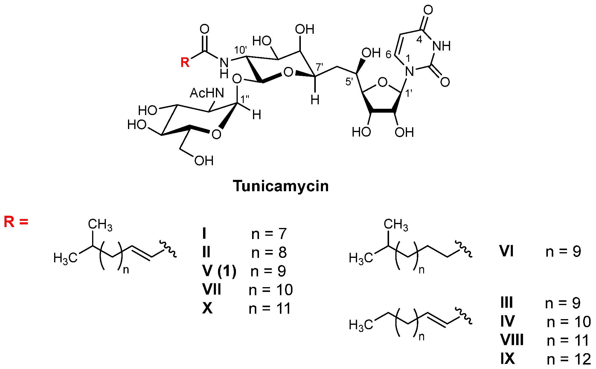 Molecules 30 04049 g001 Molecules 30 04049 g001