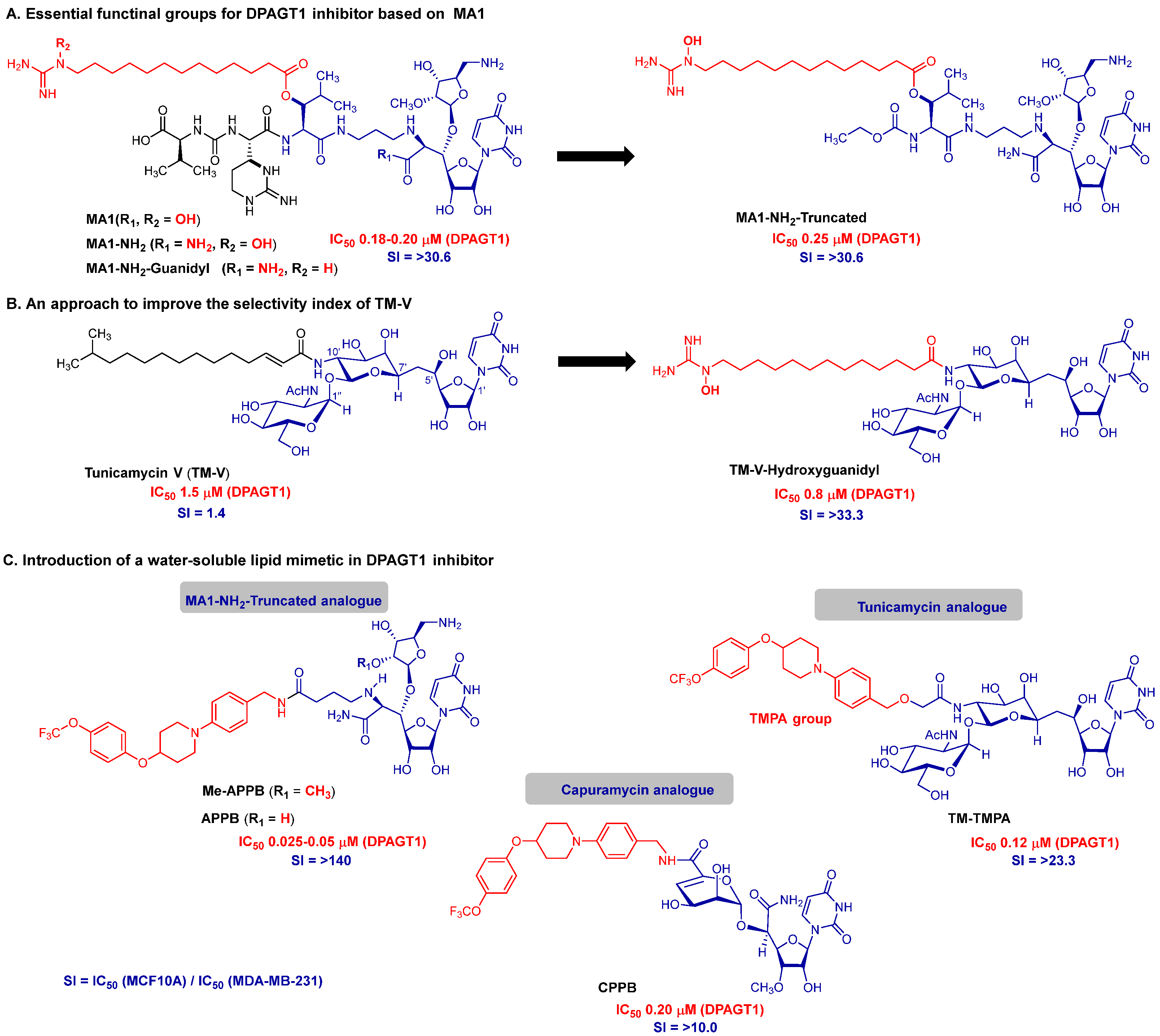 Molecules 30 04049 g005 Molecules 30 04049 g005