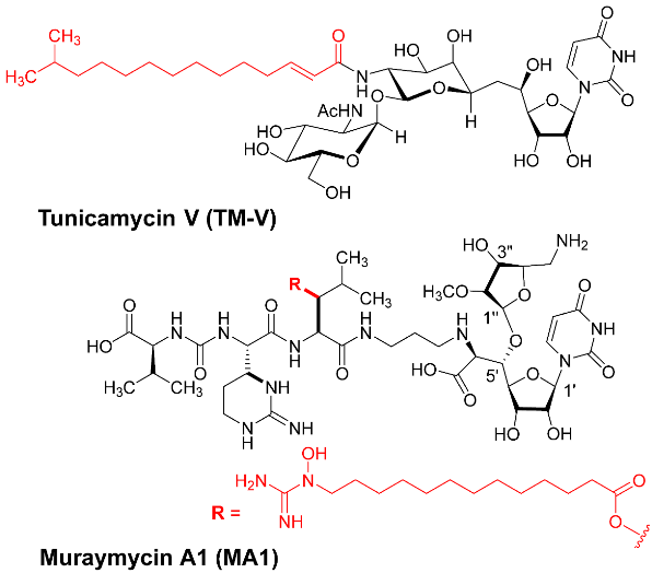Molecules 30 04049 i001