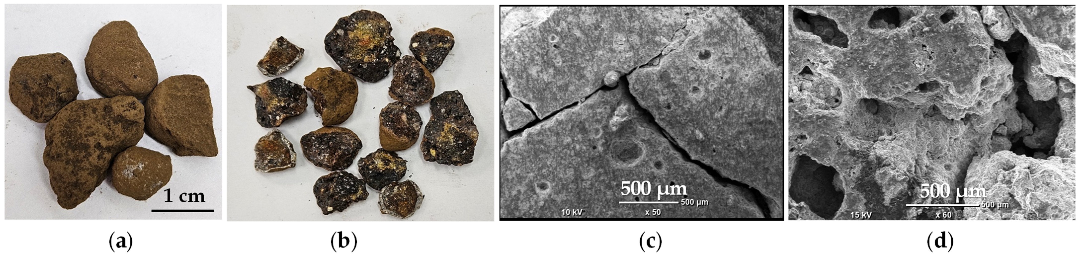 Molecules 30 04055 g003 Molecules 30 04055 g003