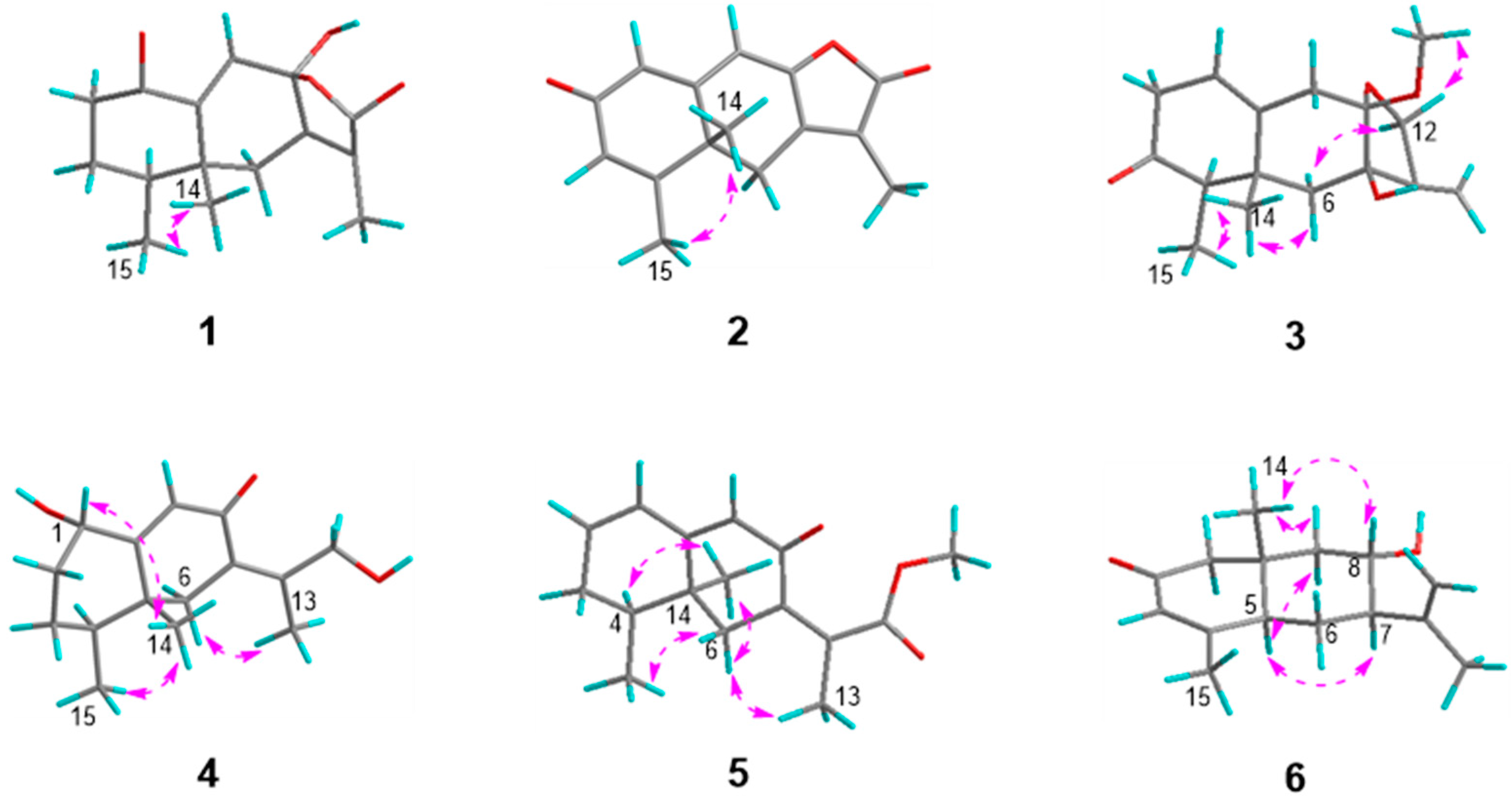Molecules 30 04068 g004 Molecules 30 04068 g004