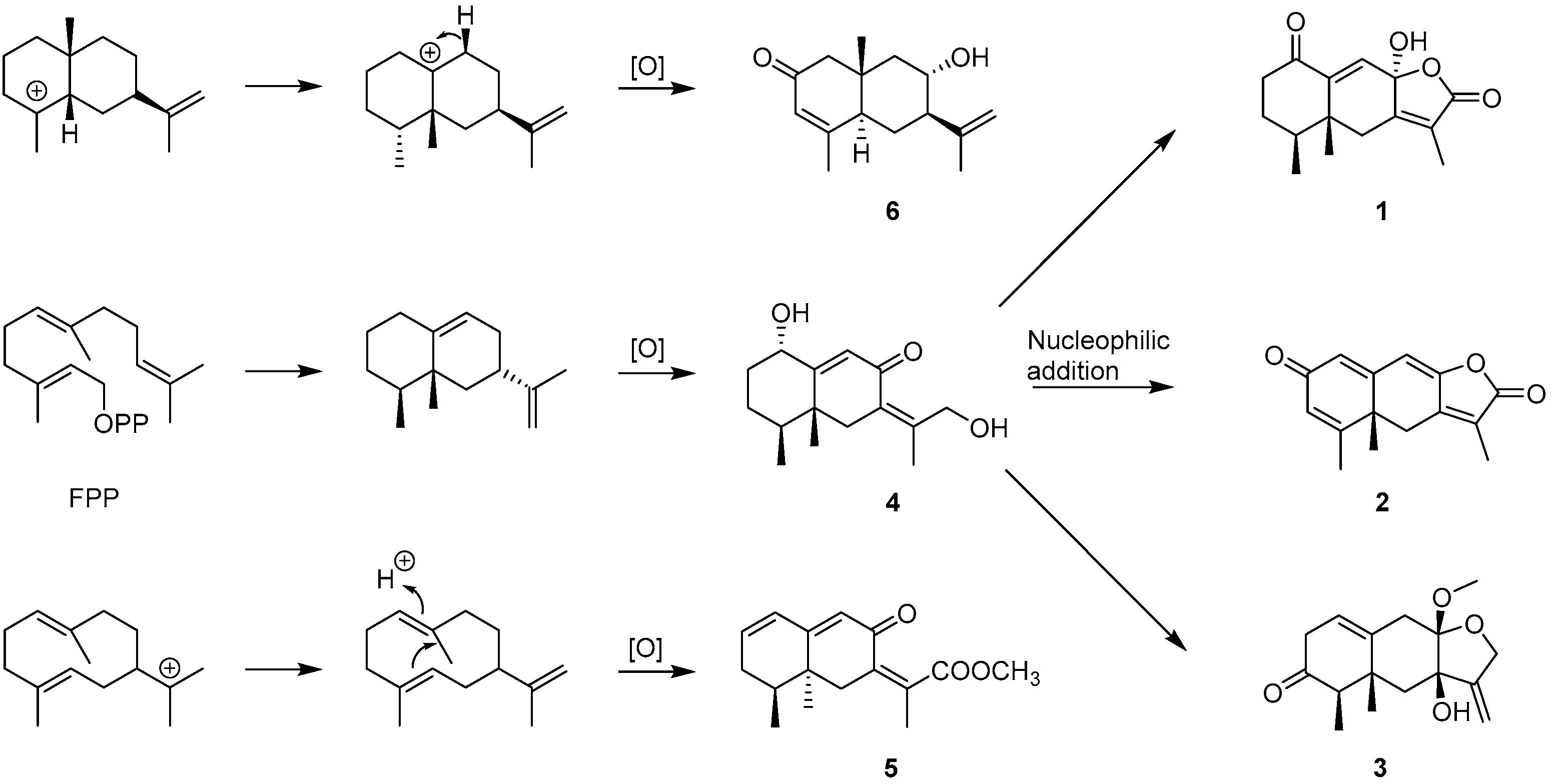 Molecules 30 04068 g006 Molecules 30 04068 g006