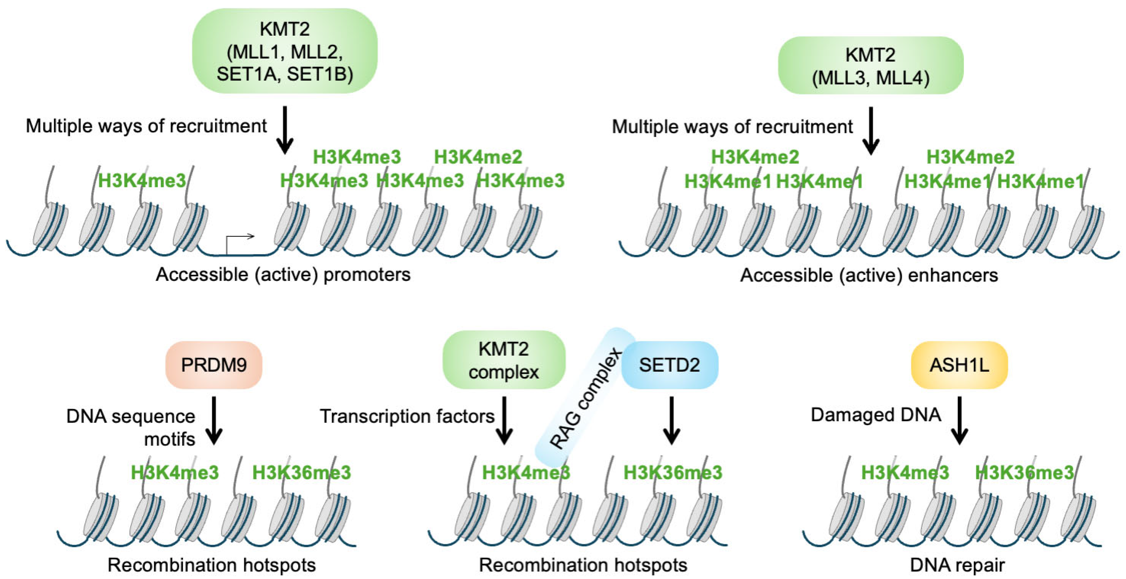 Molecules 30 04075 g002 Molecules 30 04075 g002