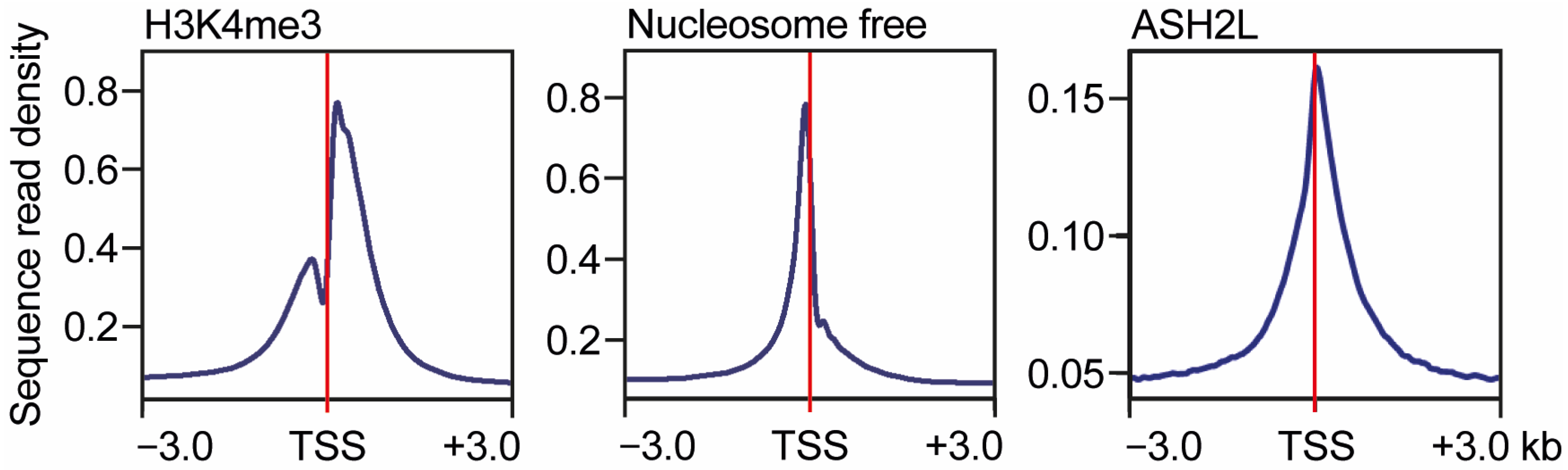 Molecules 30 04075 g003 Molecules 30 04075 g003