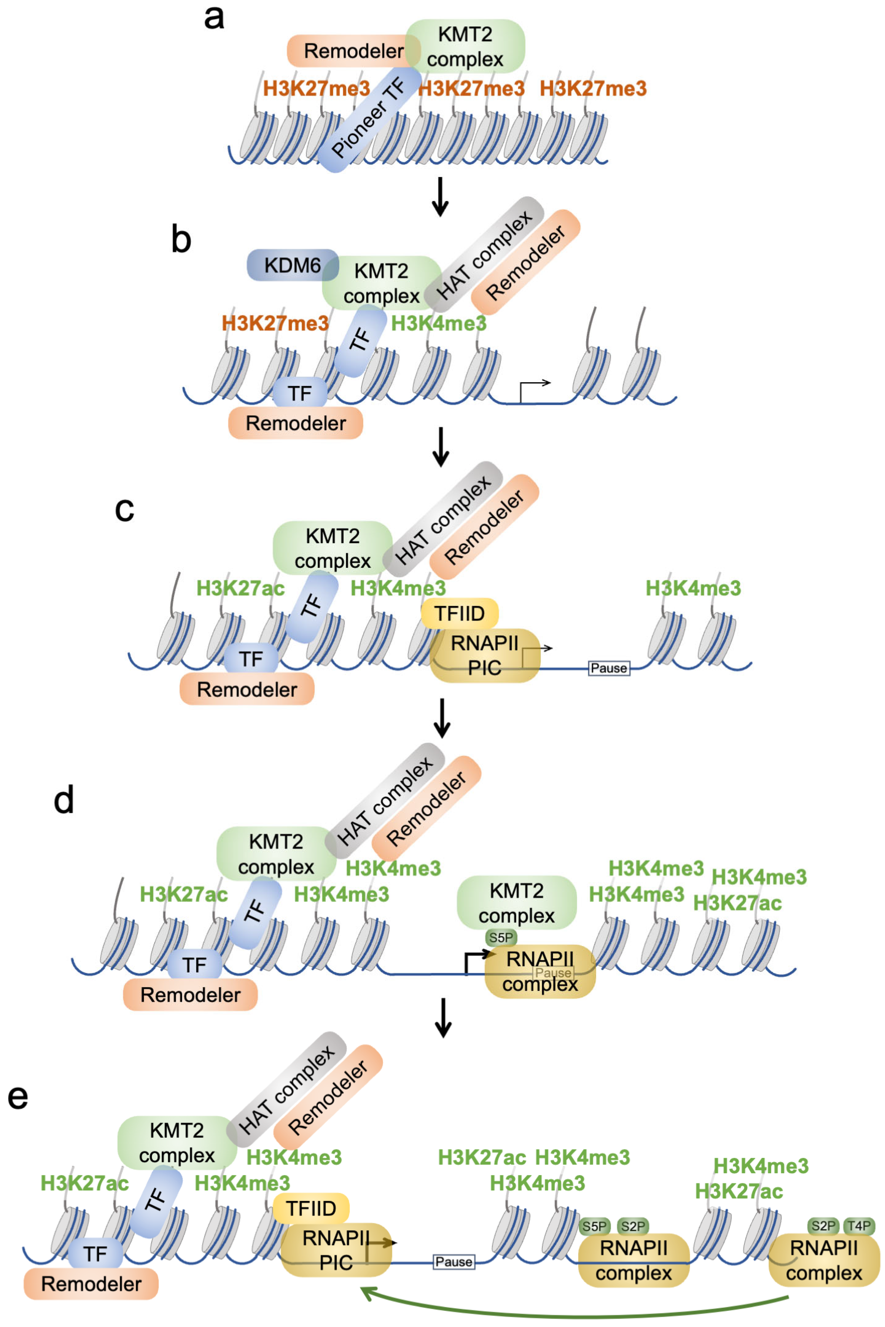 Molecules 30 04075 g004 Molecules 30 04075 g004