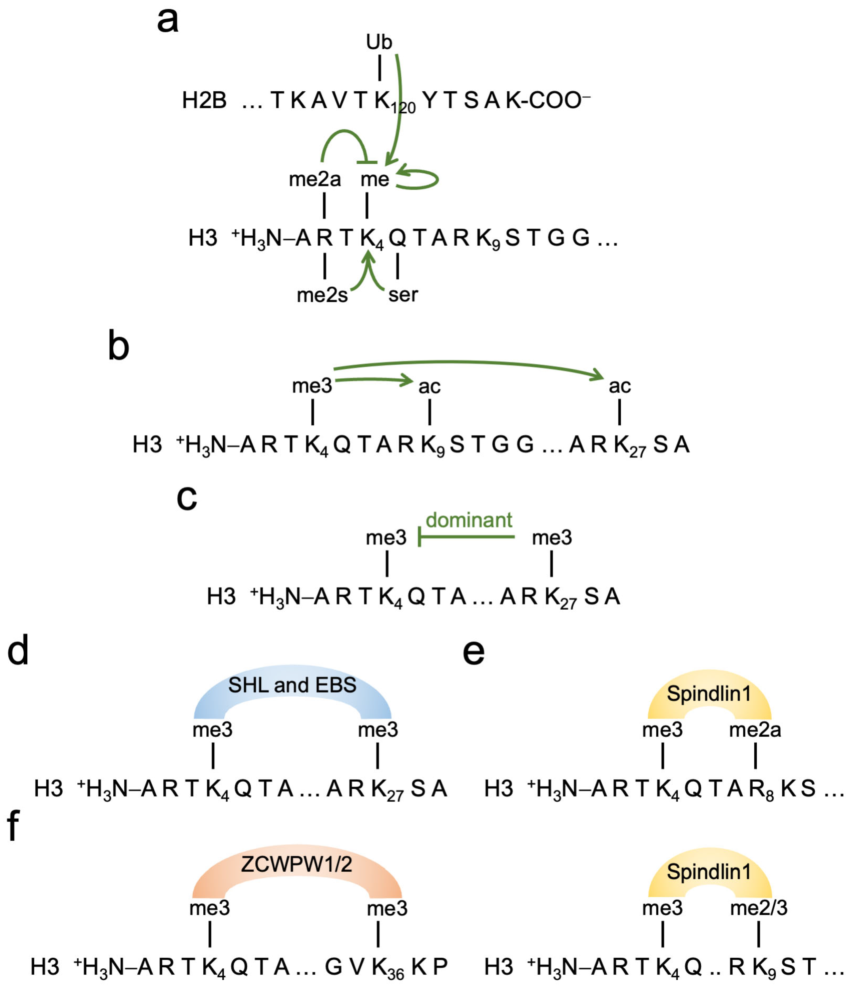 Molecules 30 04075 g005 Molecules 30 04075 g005