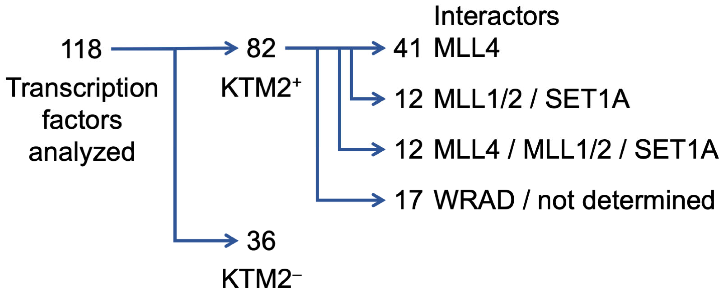 Molecules 30 04075 sch001 Molecules 30 04075 sch001