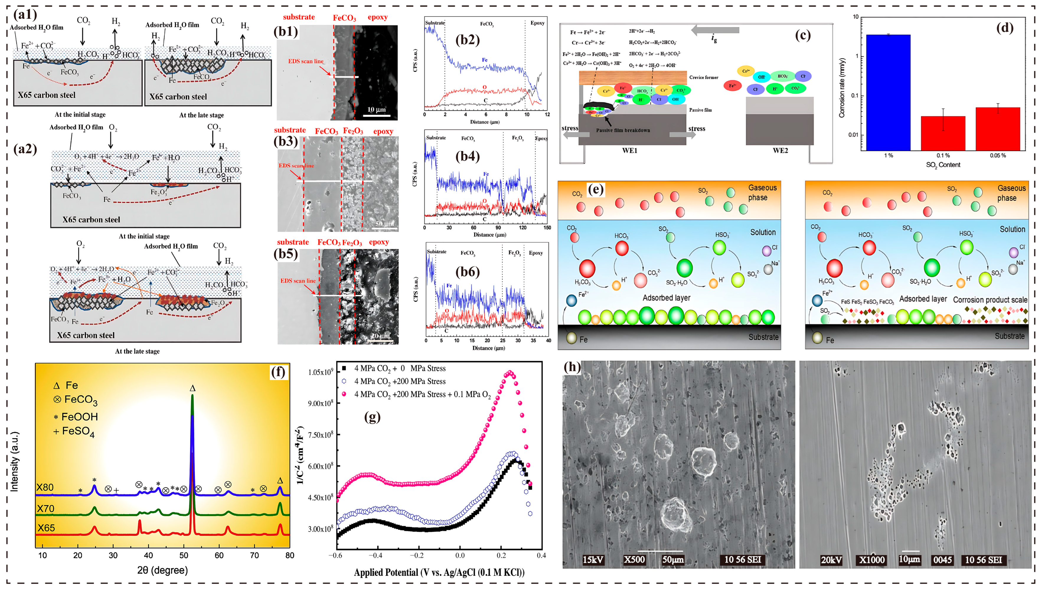 Molecules 30 04094 g002