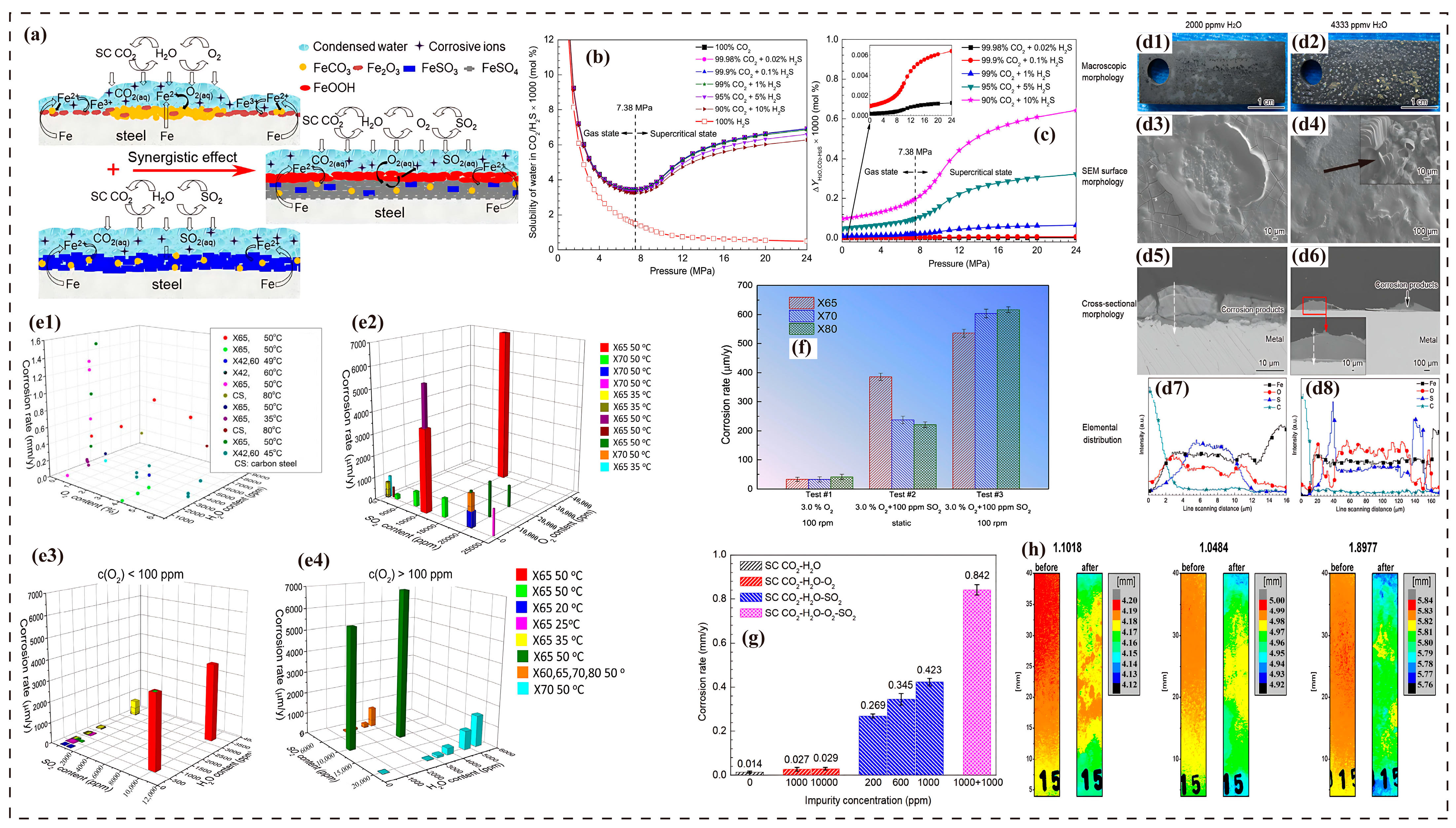 Molecules 30 04094 g004
