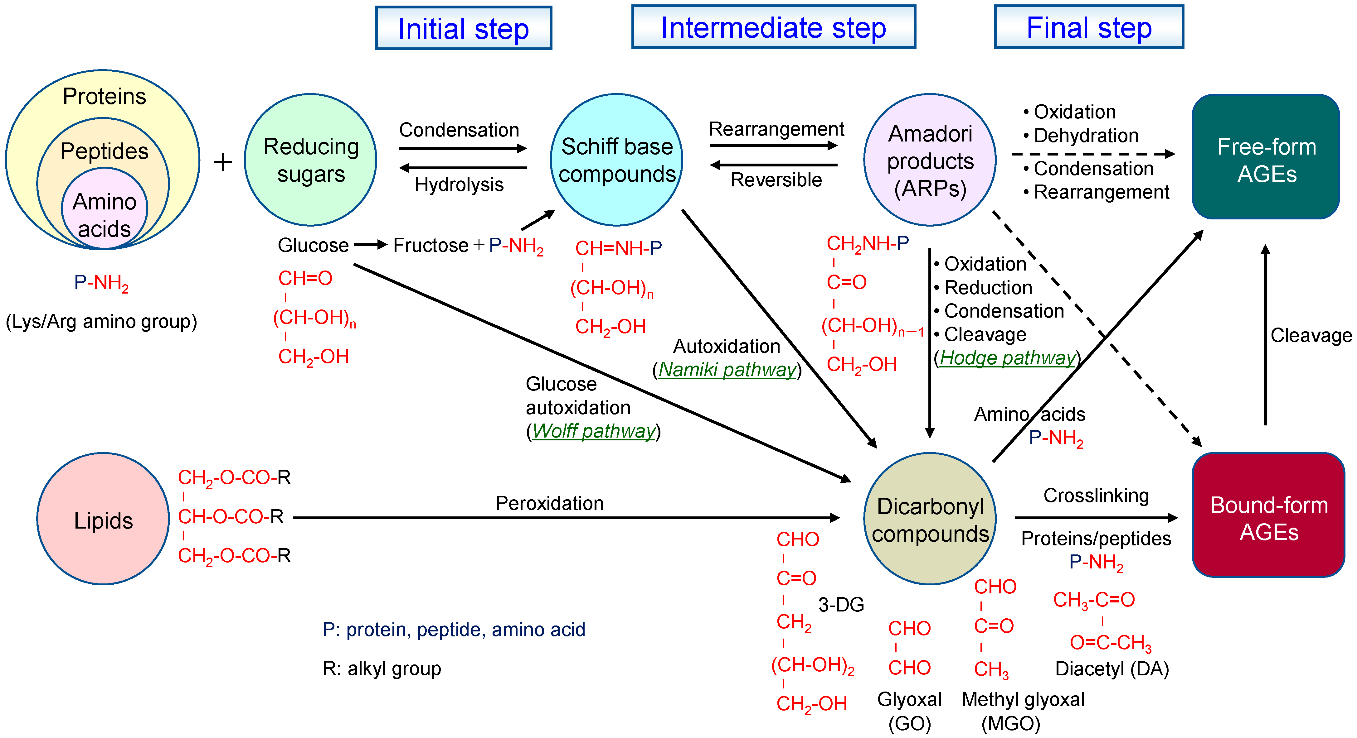 Molecules 30 04095 g001