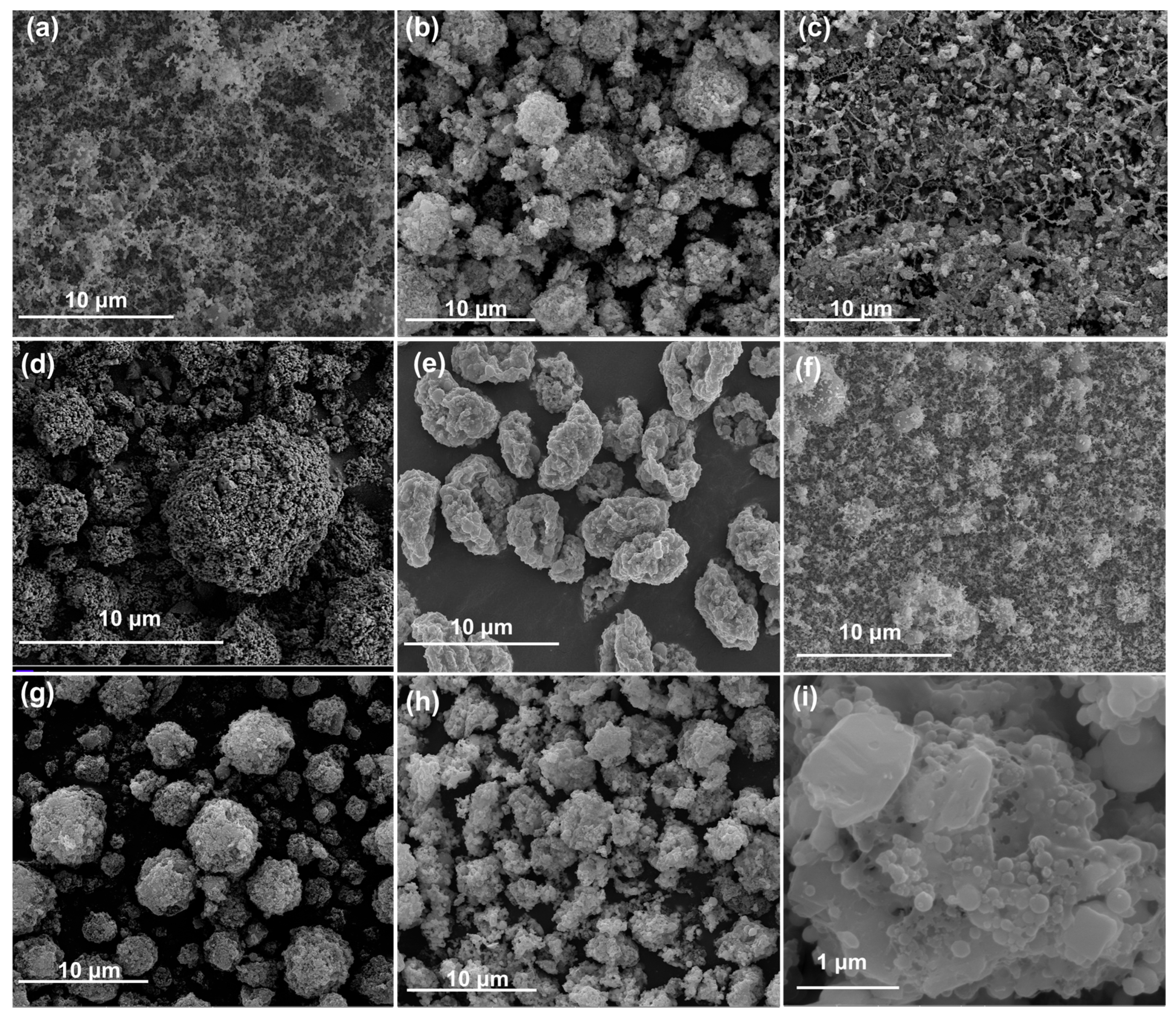 Molecules 30 04101 g001