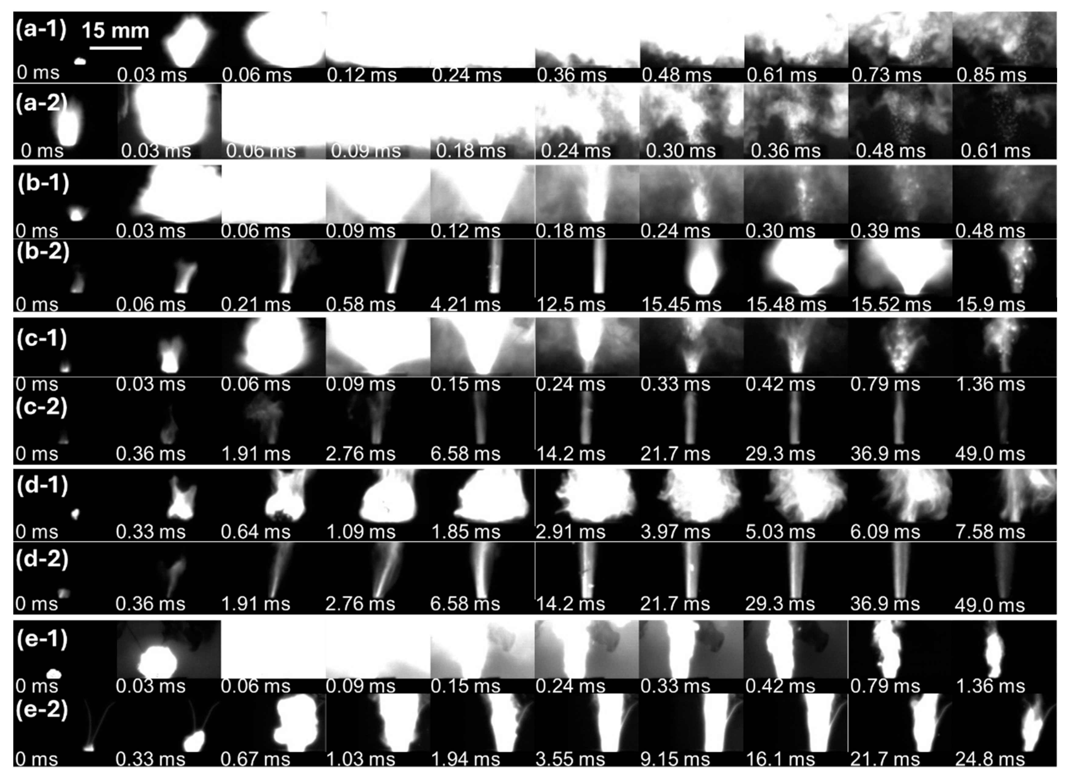 Molecules 30 04101 g002