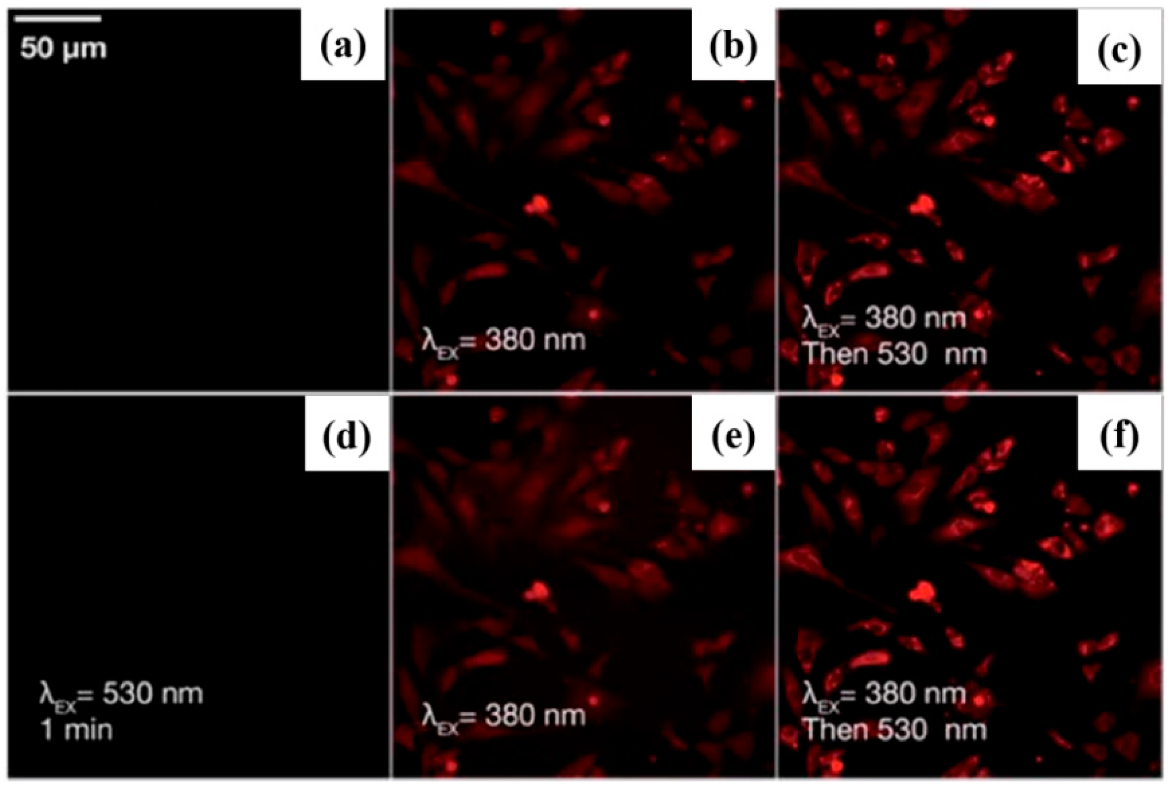 Molecules 30 04120 g014 Molecules 30 04120 g014