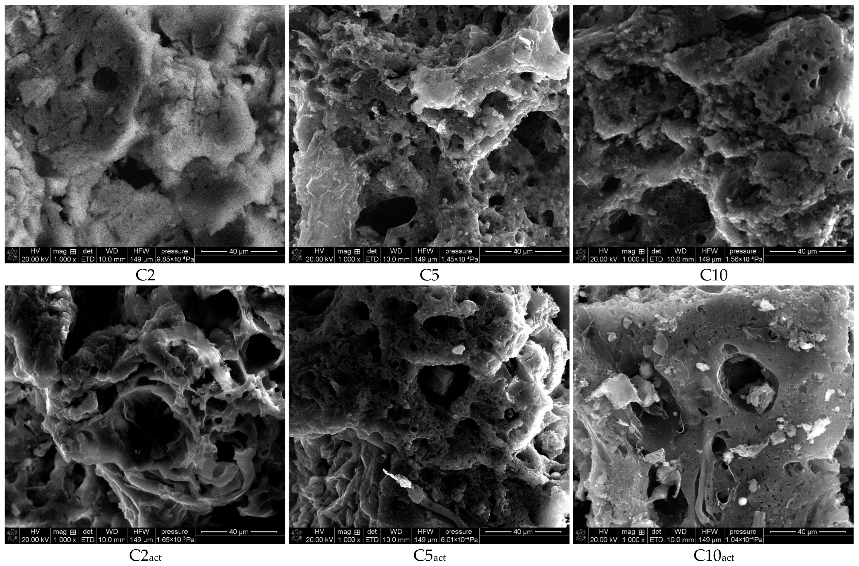 Molecules 30 04123 g003
