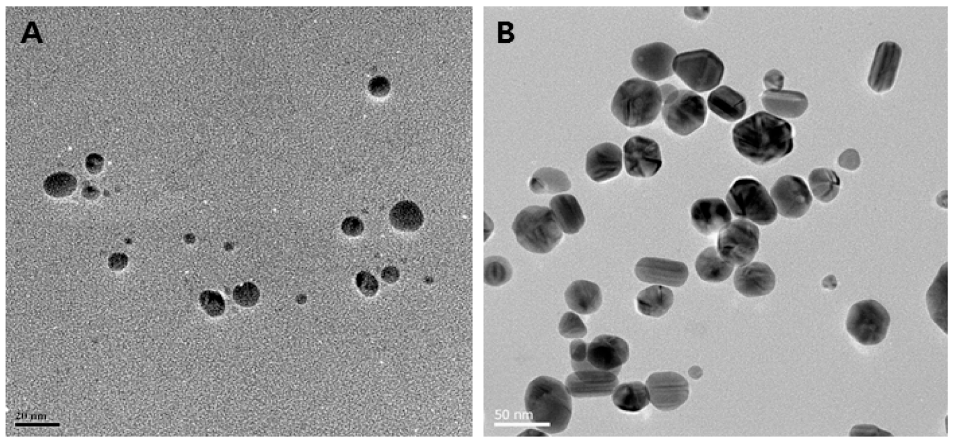 Molecules 30 04152 g002a