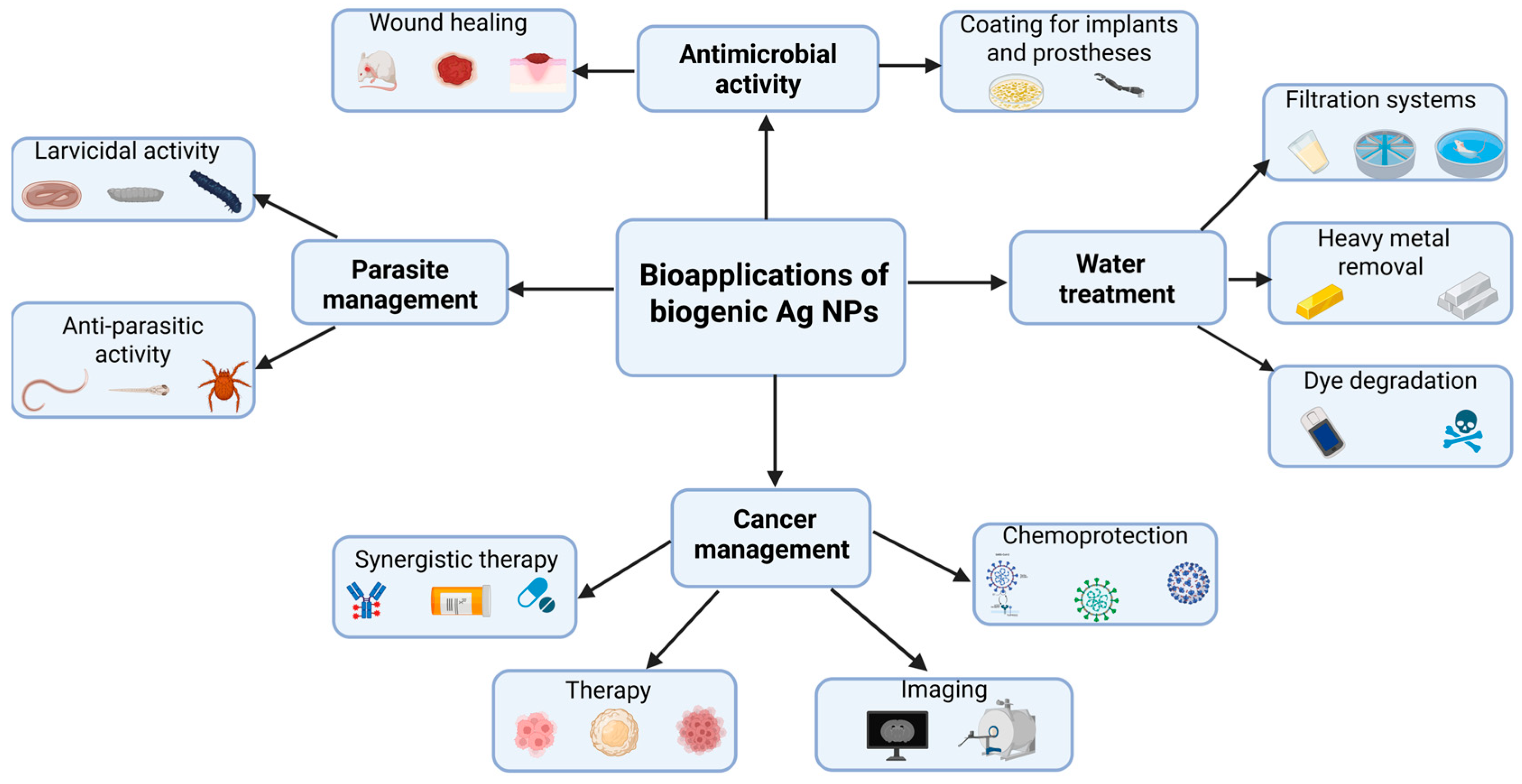 Molecules 30 04152 g005