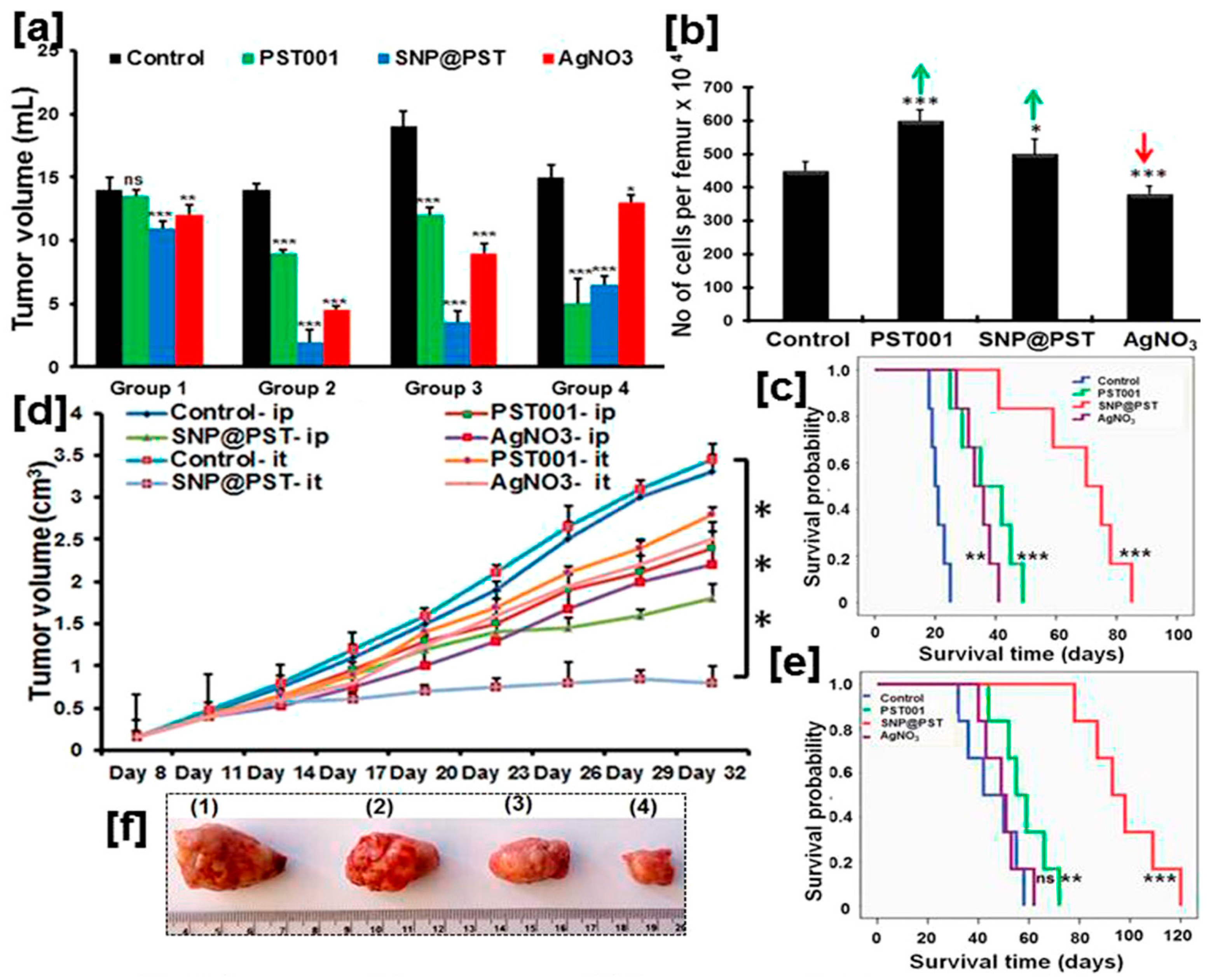 Molecules 30 04152 g006