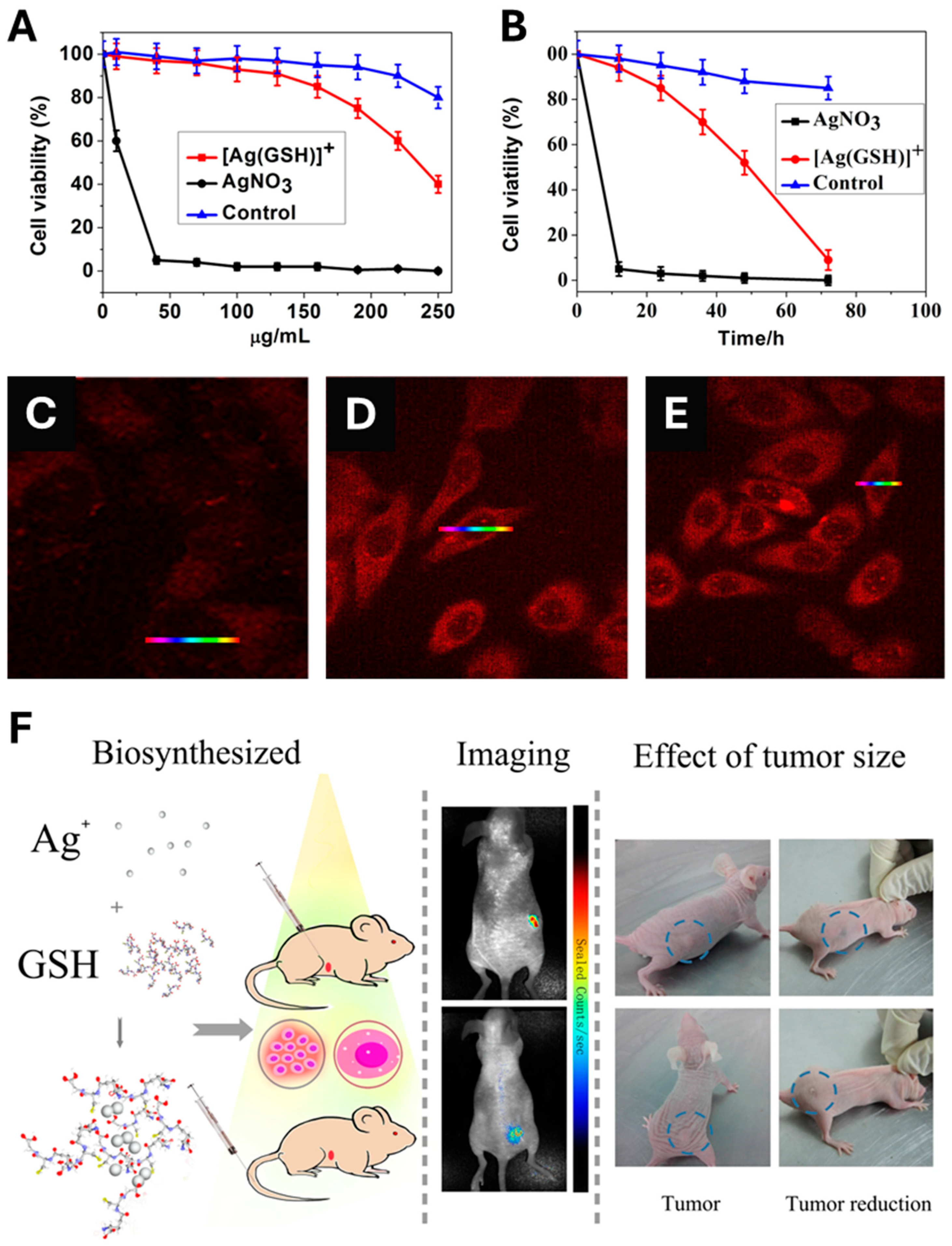 Molecules 30 04152 g007