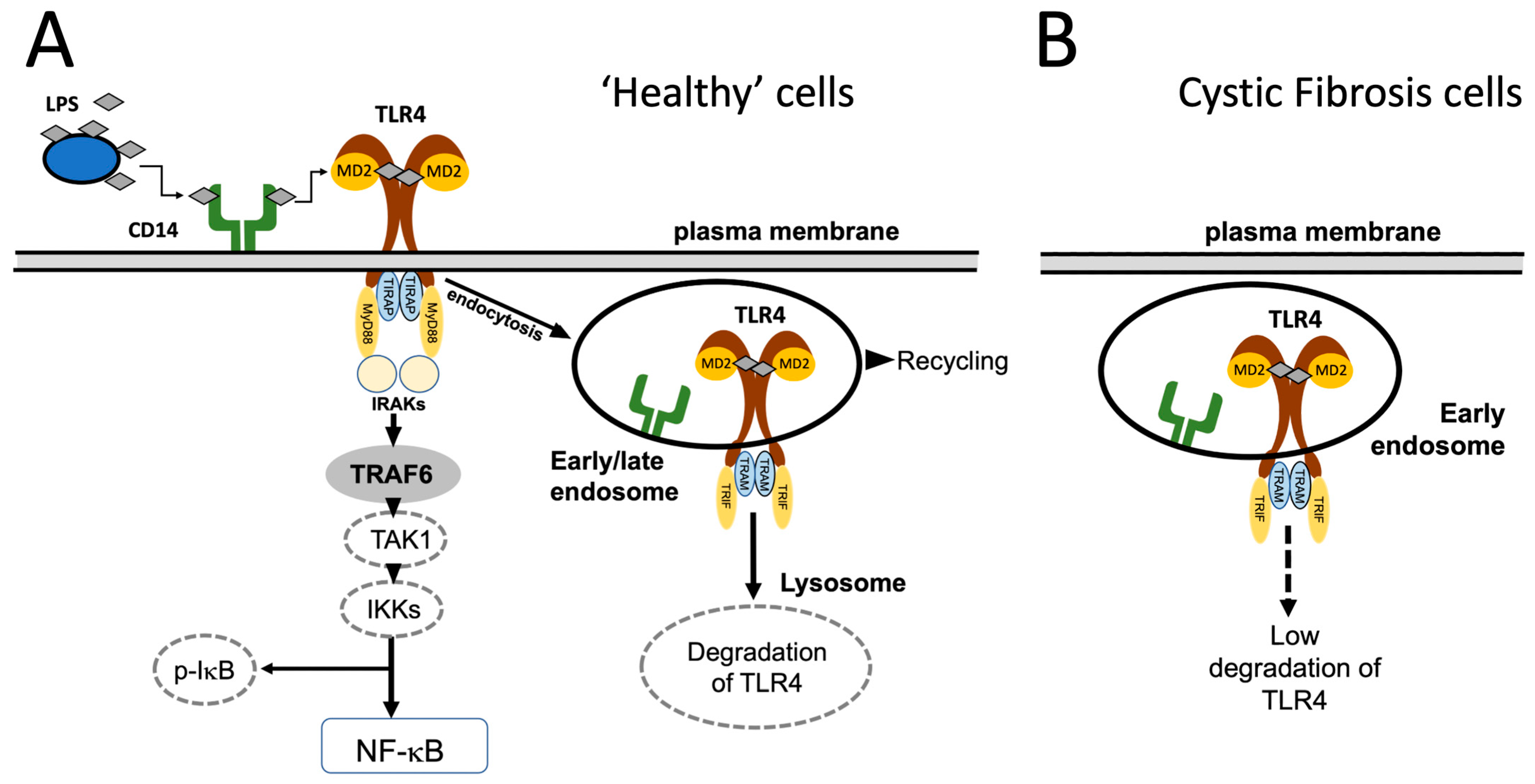 Molecules 30 04155 g001