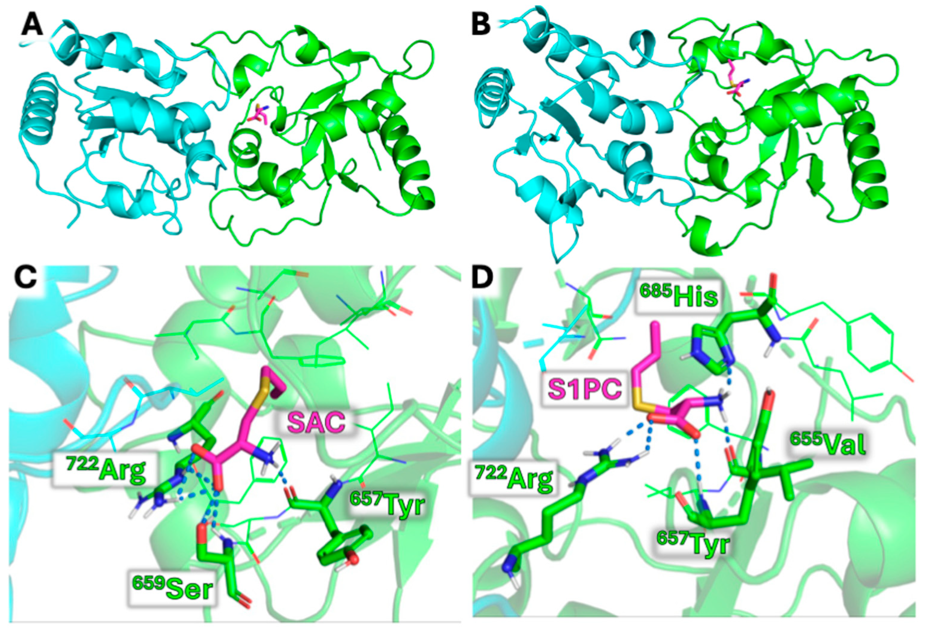 Molecules 30 04155 g002
