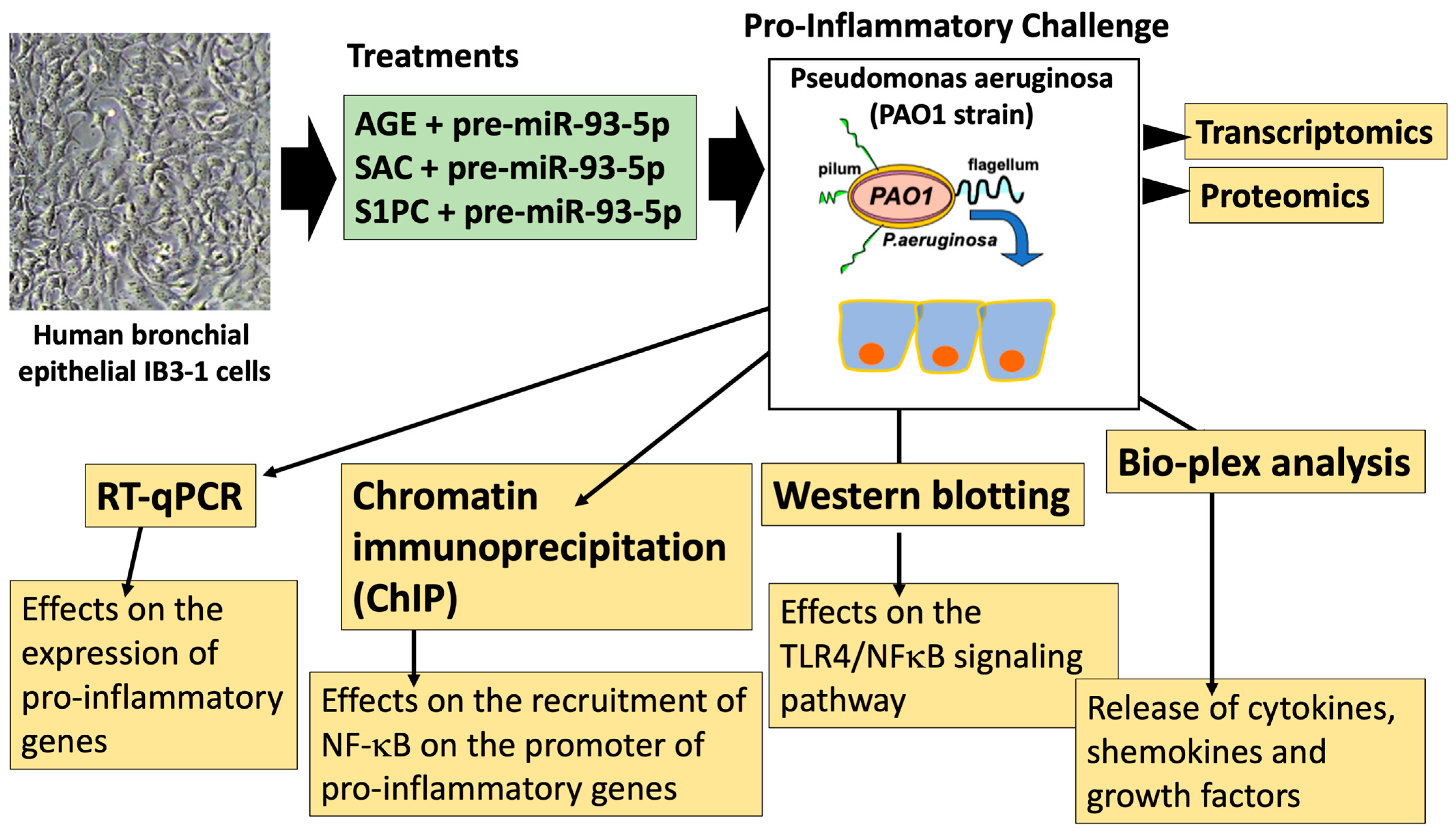 Molecules 30 04155 g004
