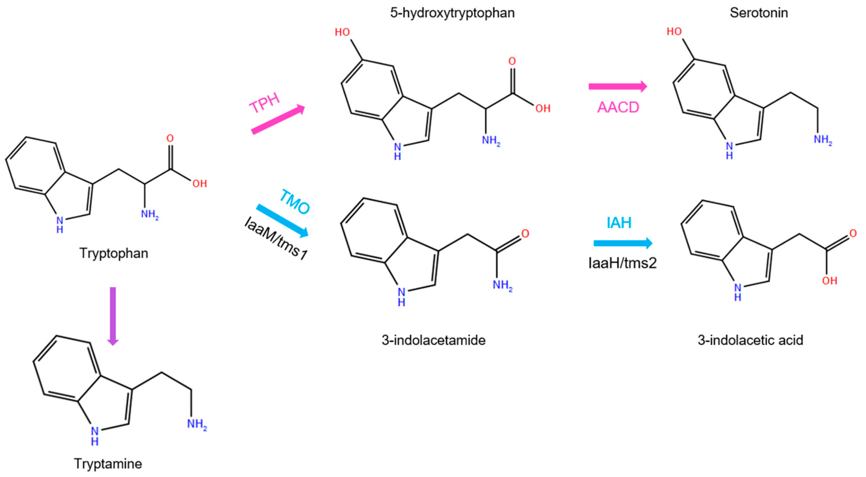 Molecules 30 04156 g001 Molecules 30 04156 g001
