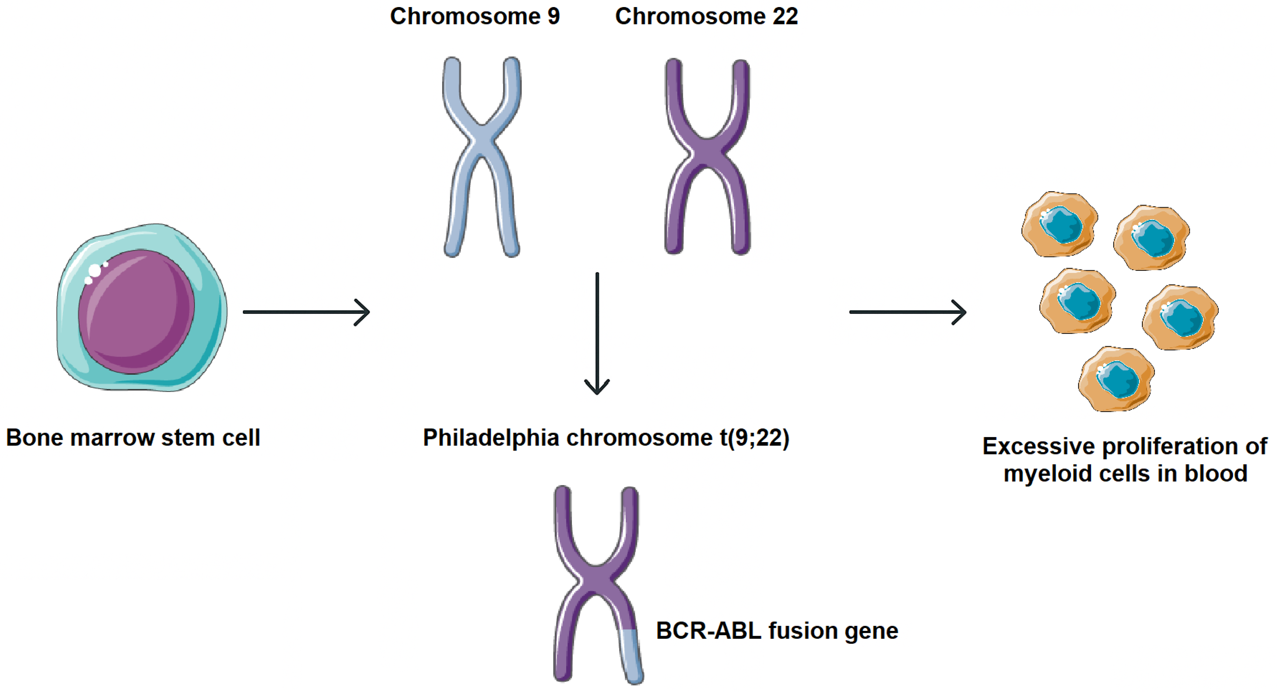Molecules 30 04160 g001 Molecules 30 04160 g001