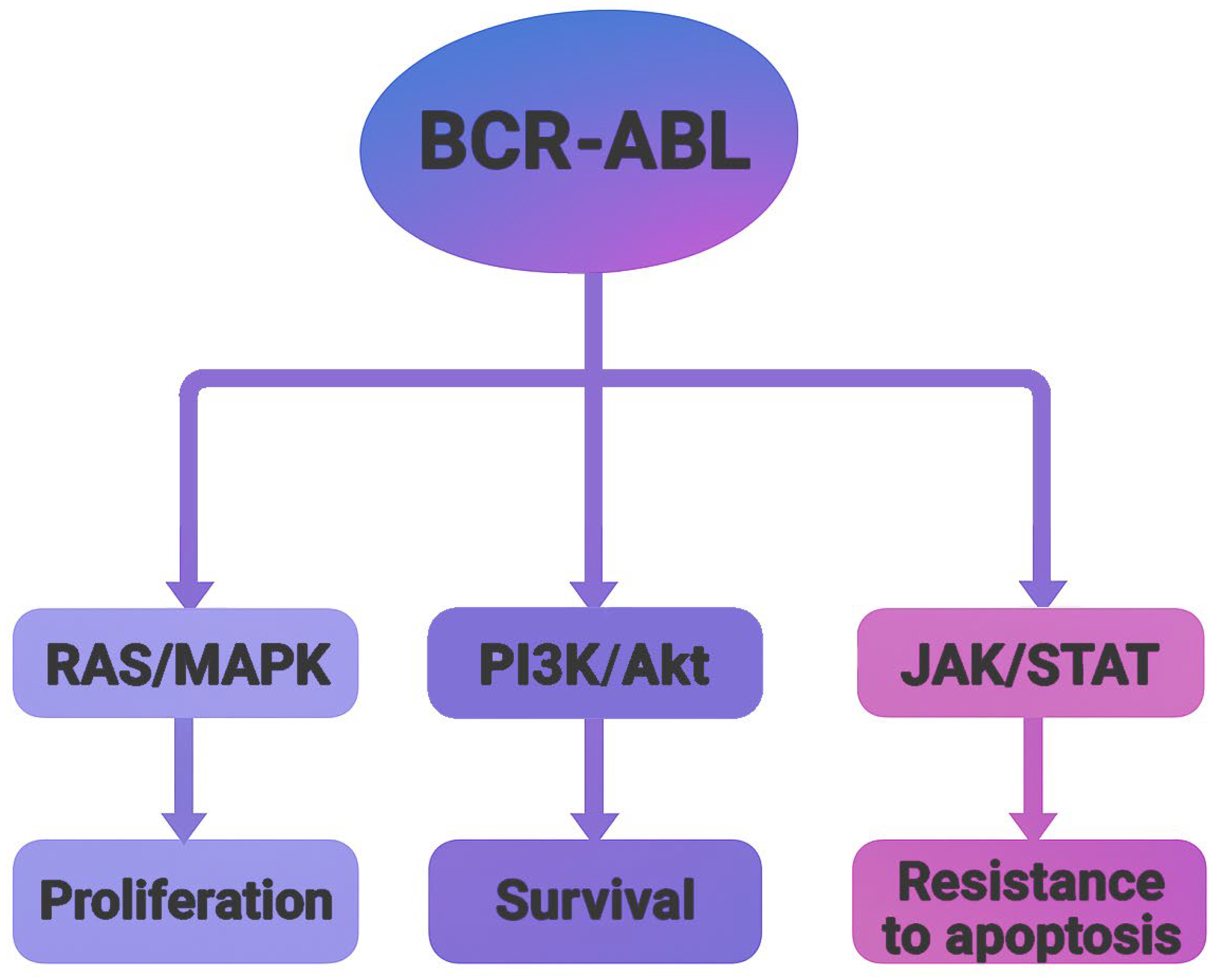 Molecules 30 04160 g002 Molecules 30 04160 g002