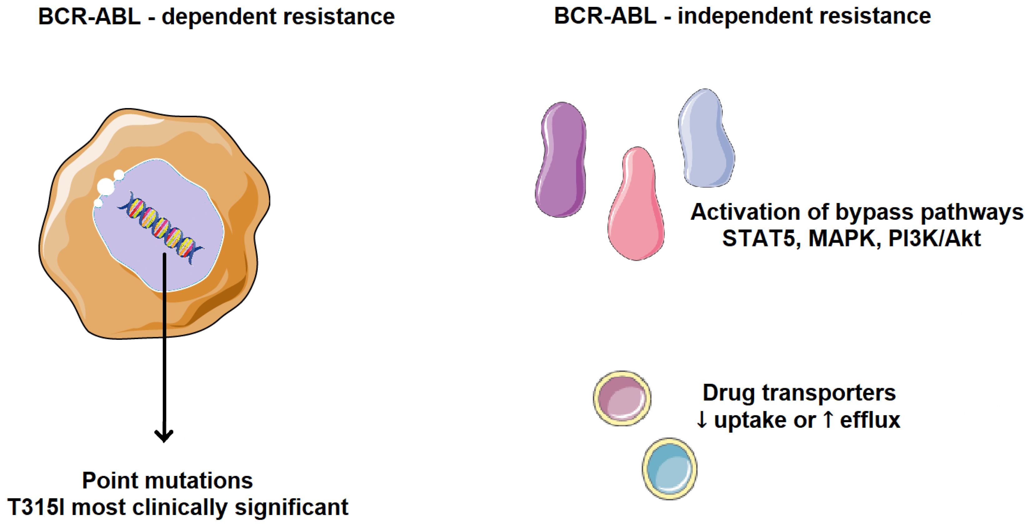 Molecules 30 04160 g005 Molecules 30 04160 g005