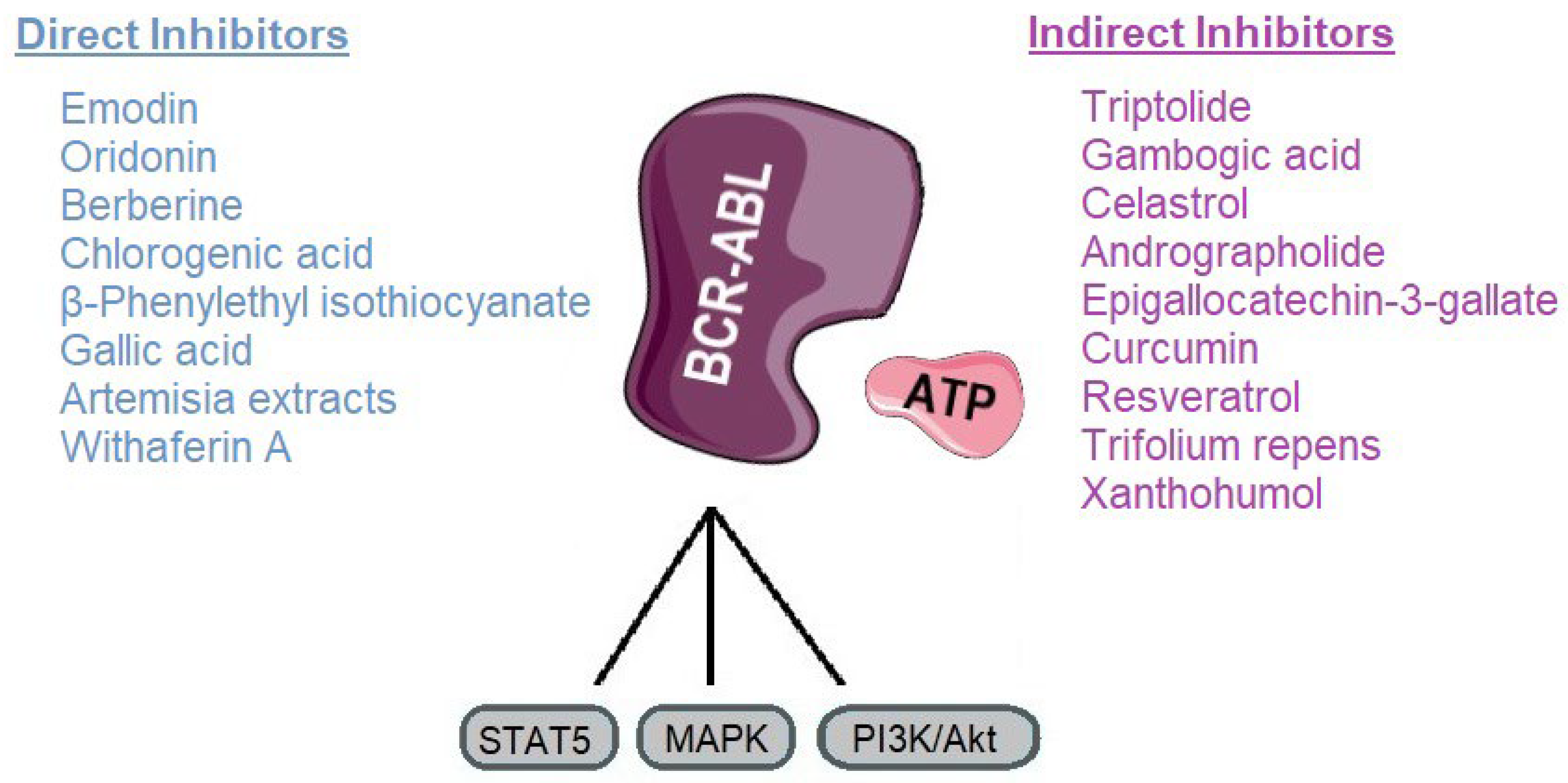 Molecules 30 04160 g007 Molecules 30 04160 g007