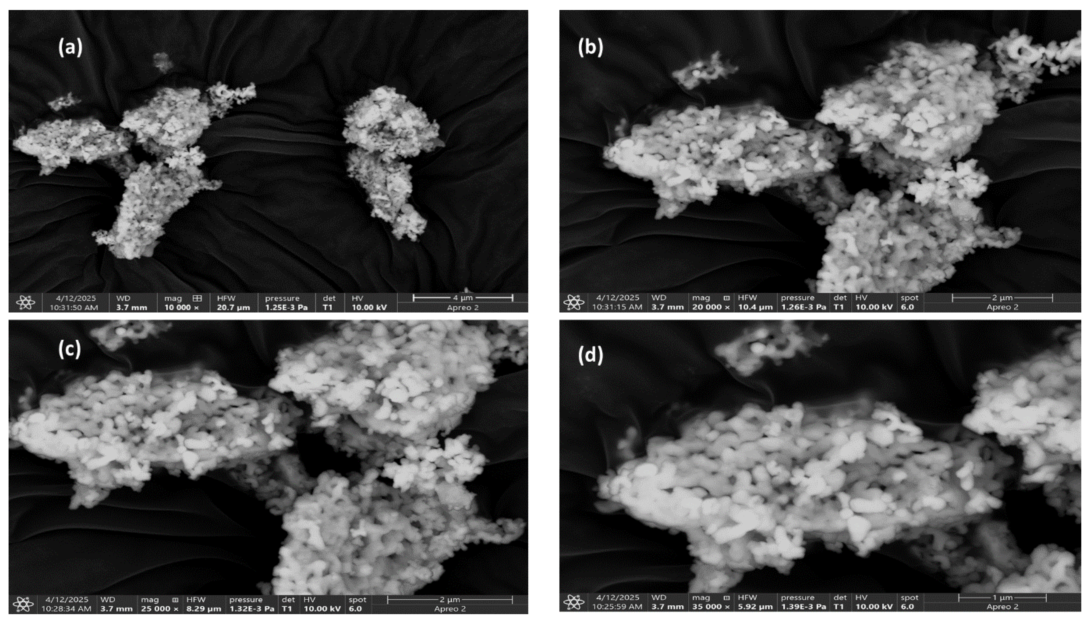 Molecules 30 04161 g003