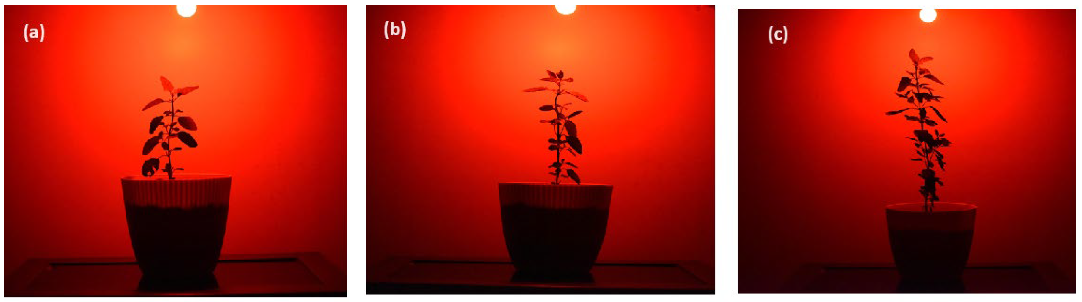 Molecules 30 04161 g007
