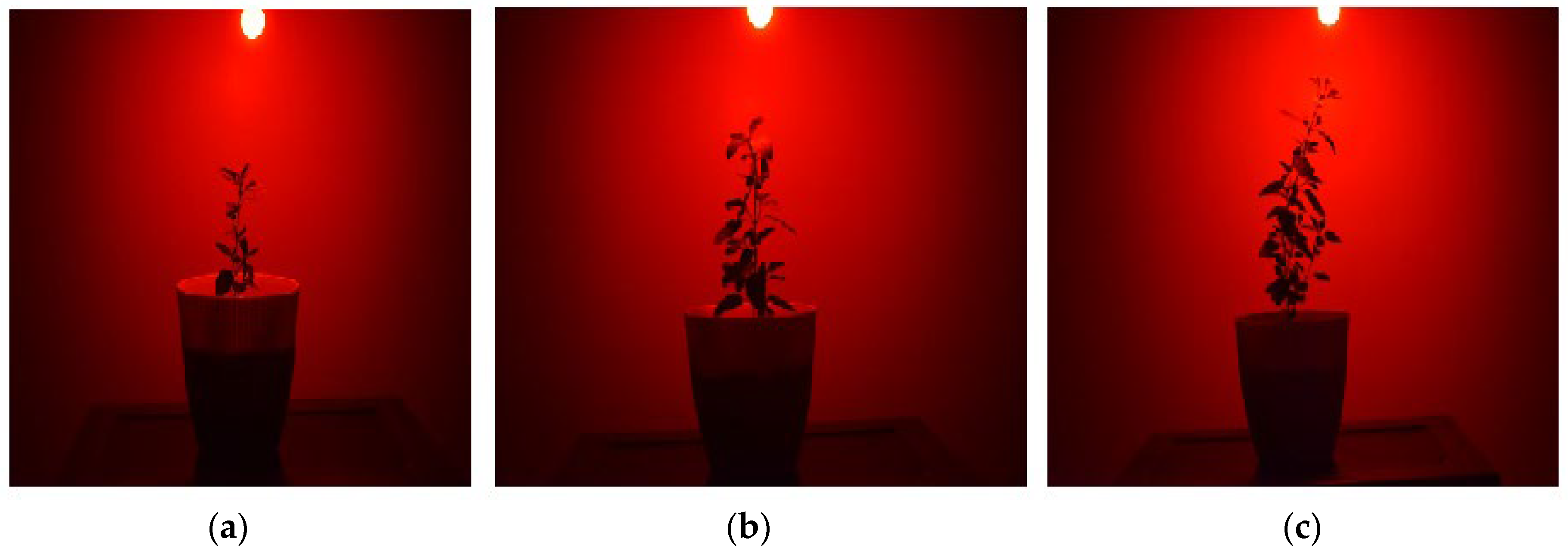 Molecules 30 04161 g008