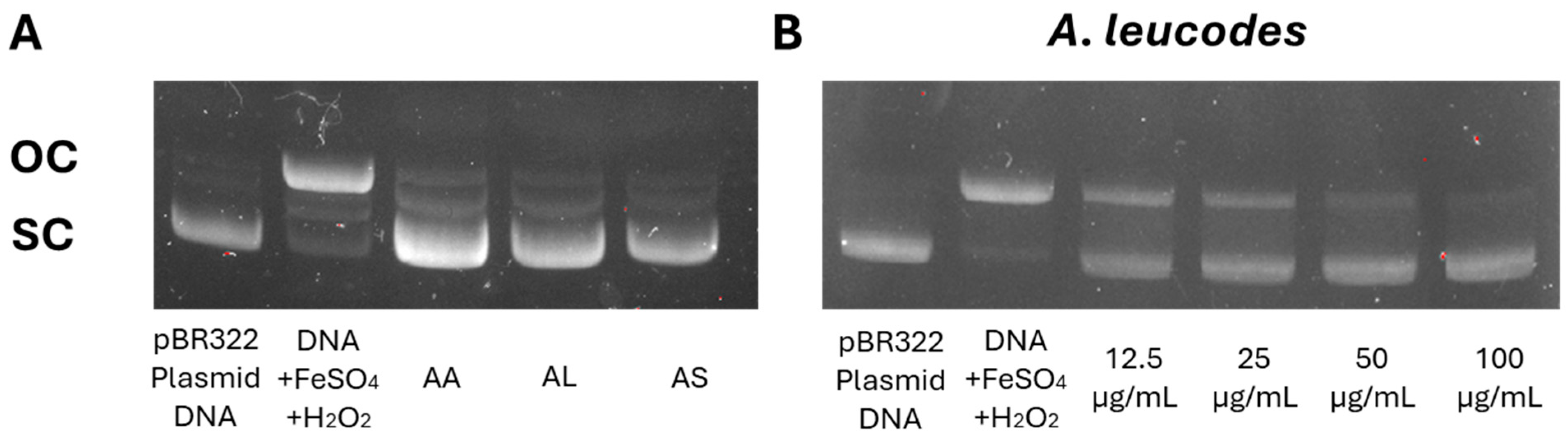 Molecules 30 04165 g004