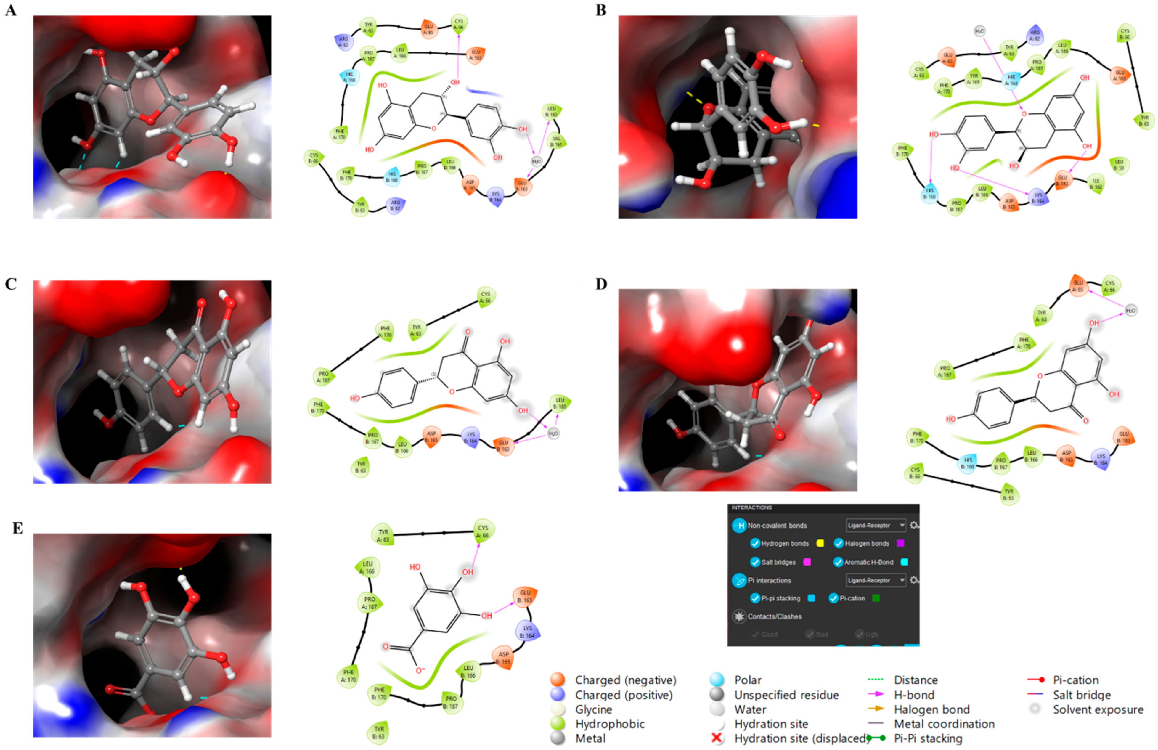 Molecules 30 04165 g005