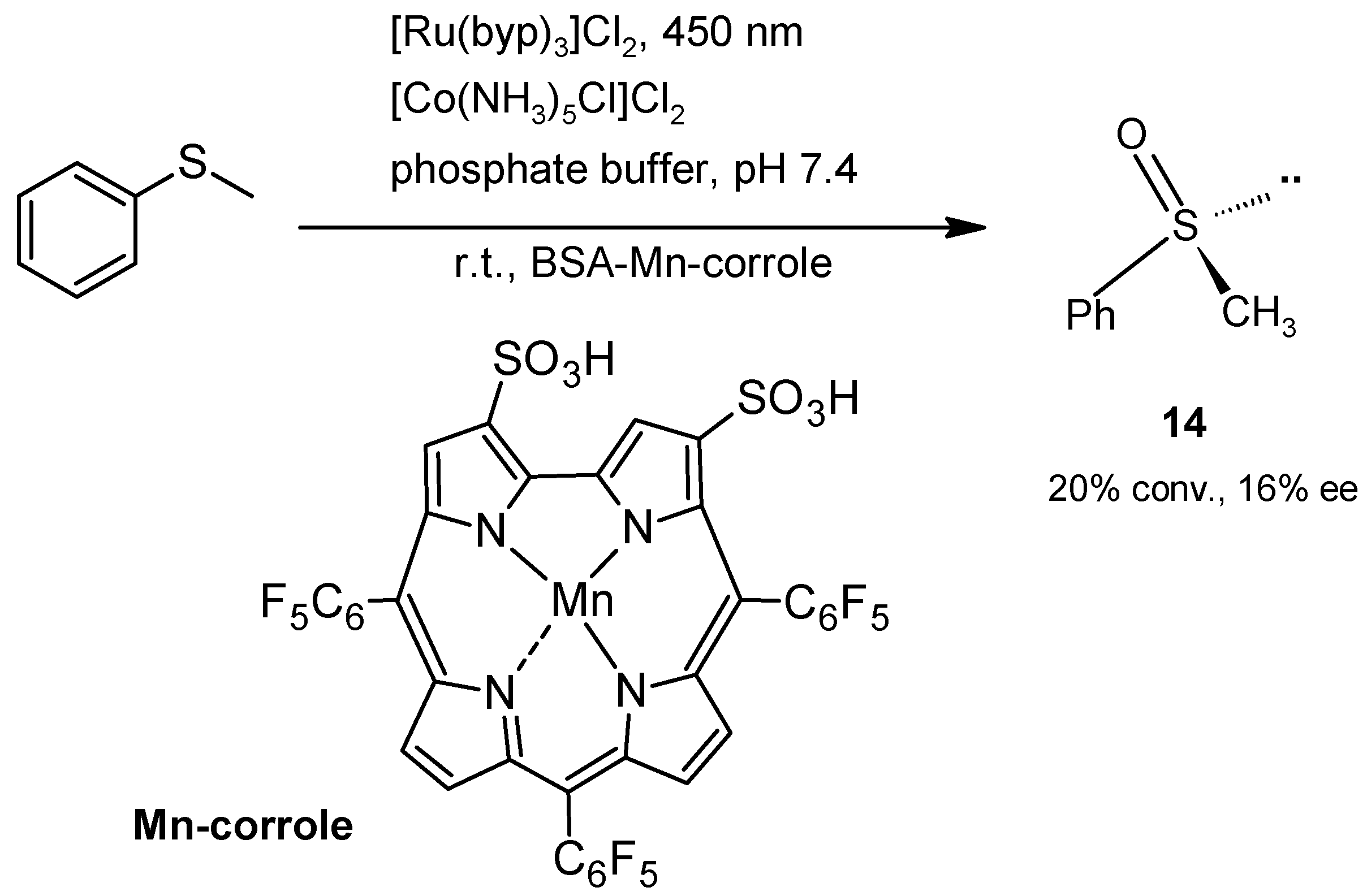 Molecules 30 04168 g012
