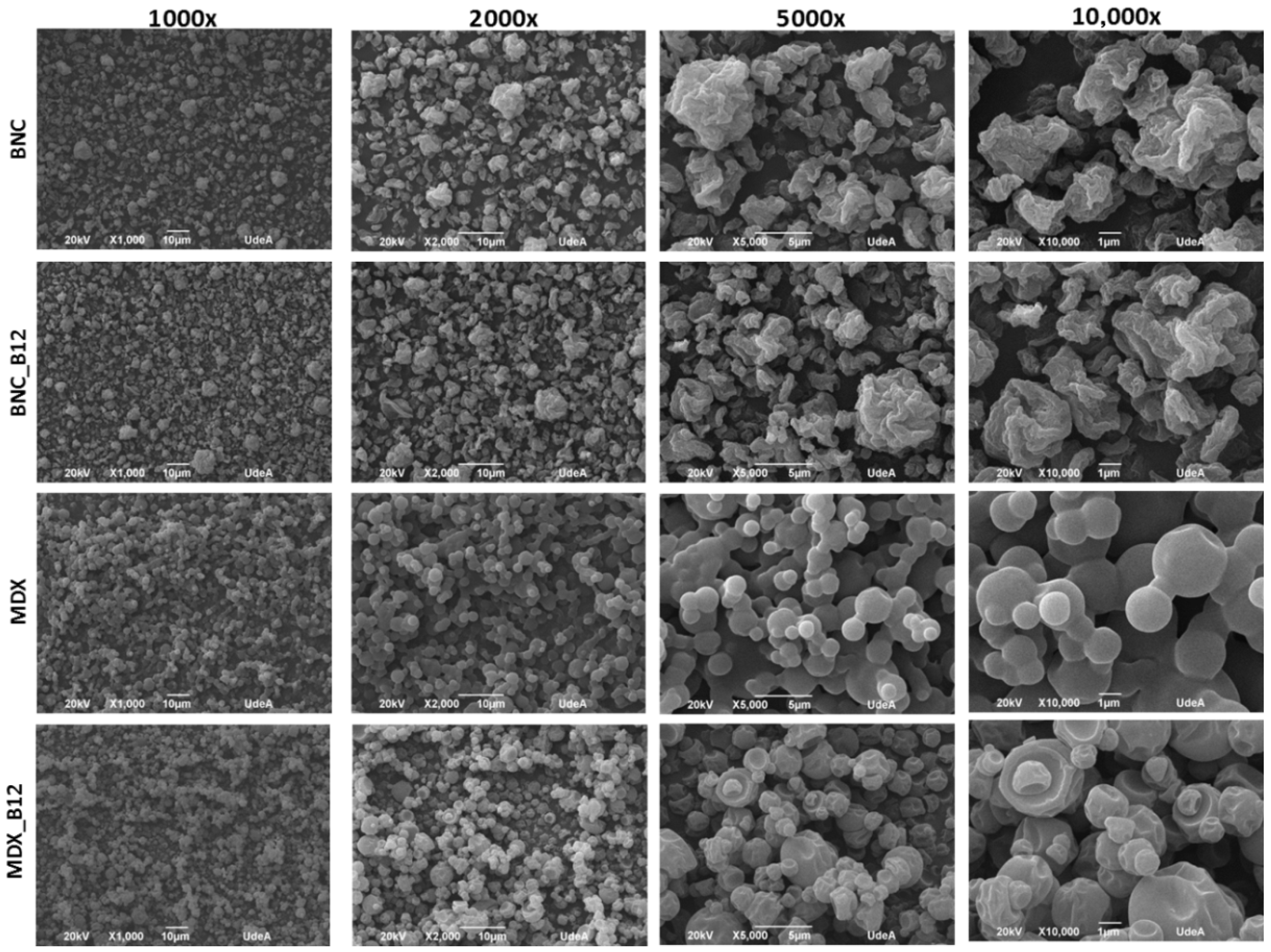 Molecules 30 04172 g006