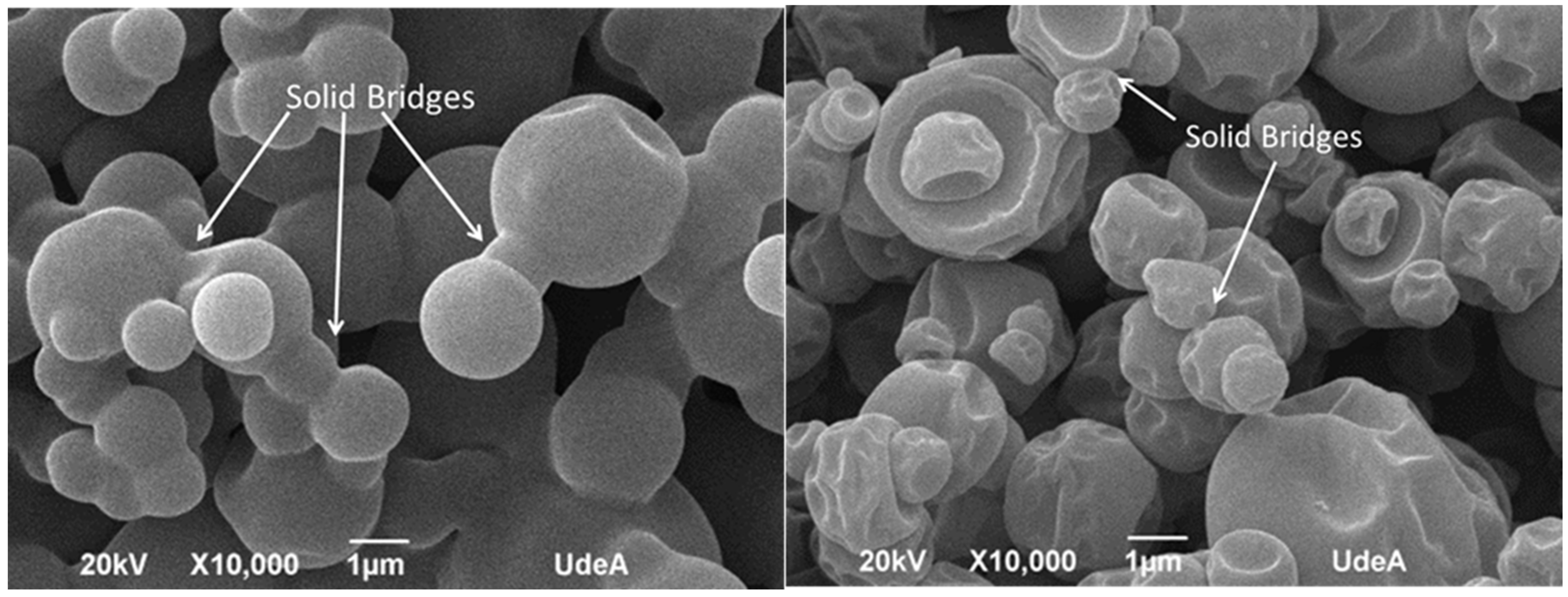 Molecules 30 04172 g007