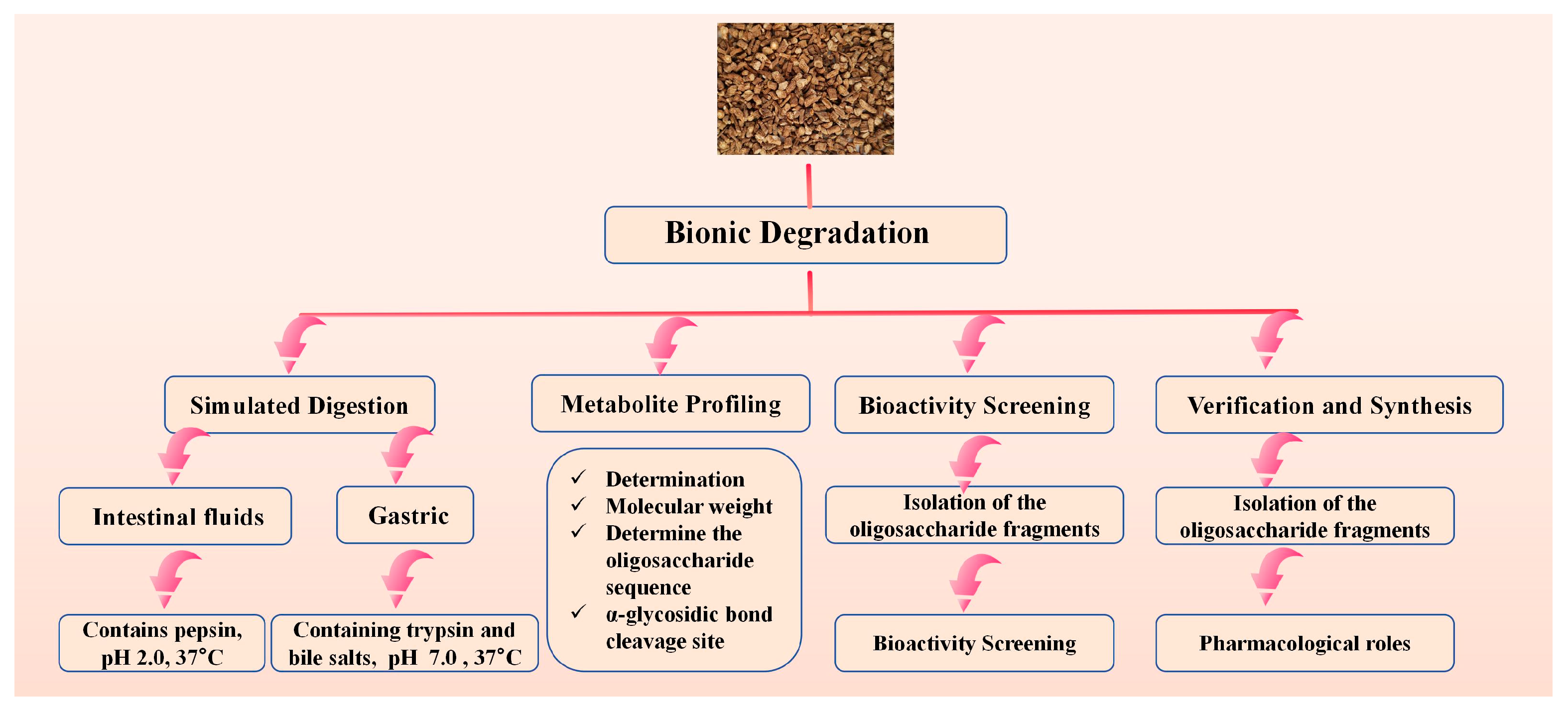 Molecules 30 04173 g003