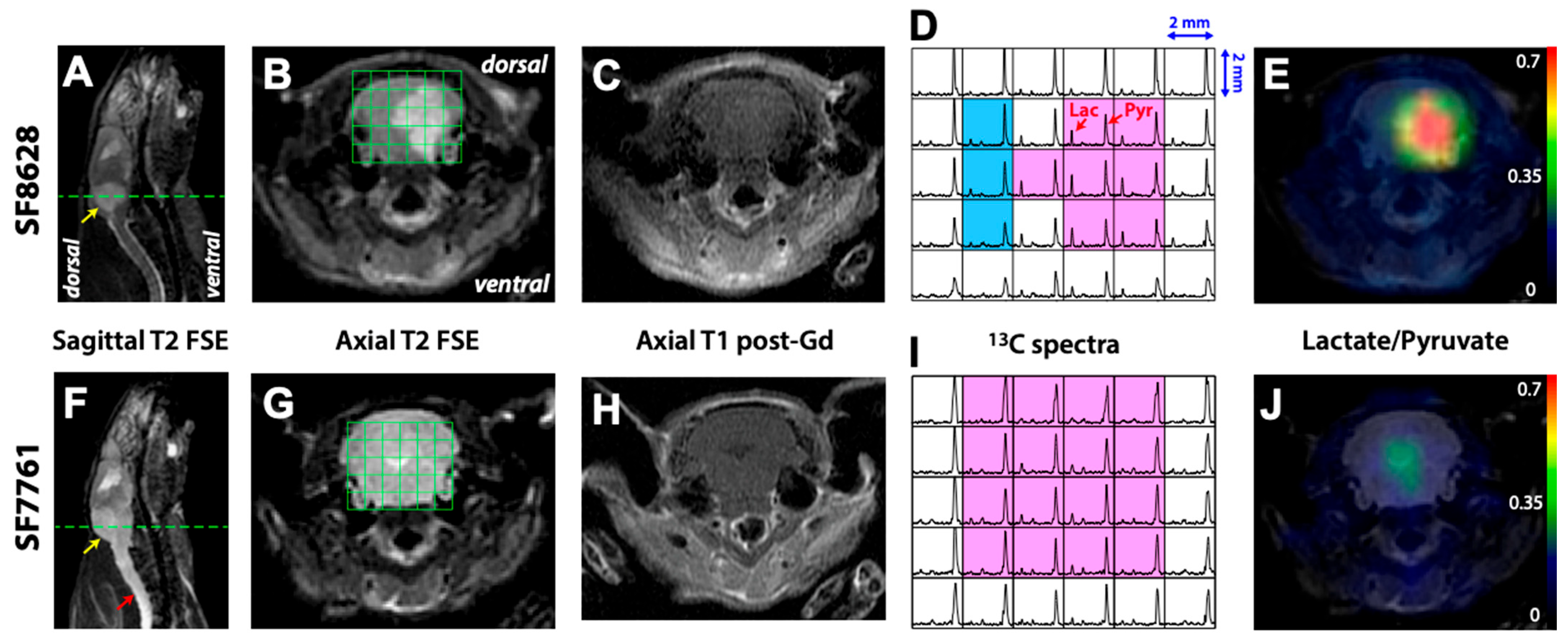 Molecules 30 04175 g001 Molecules 30 04175 g001