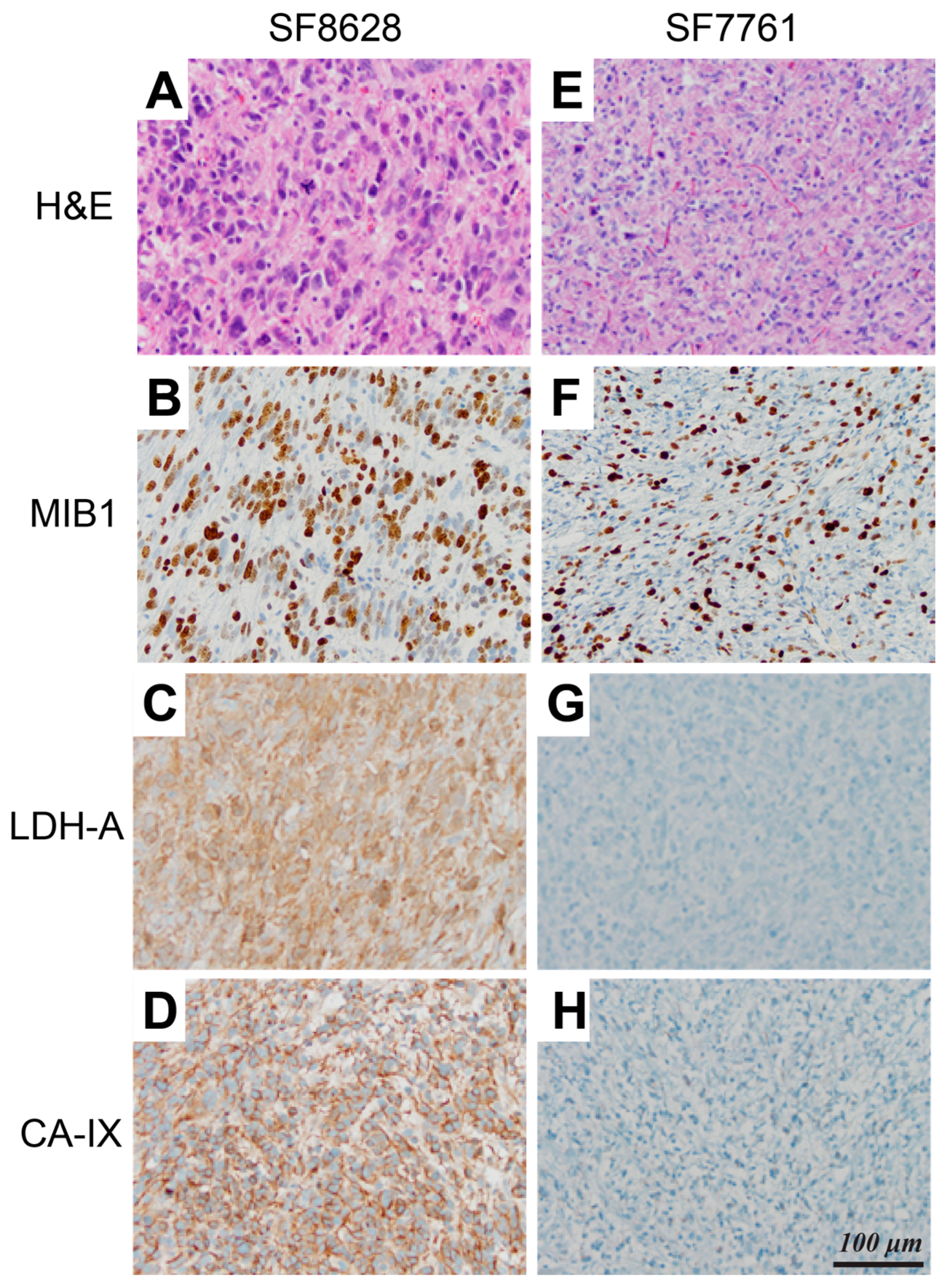 Molecules 30 04175 g003 Molecules 30 04175 g003