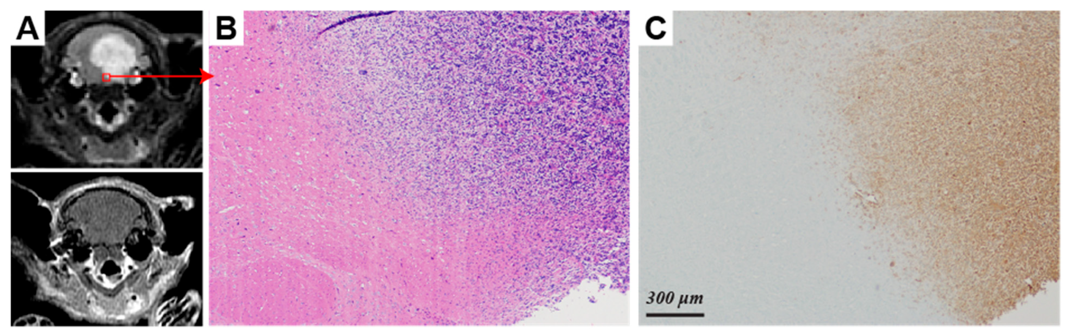 Molecules 30 04175 g004 Molecules 30 04175 g004