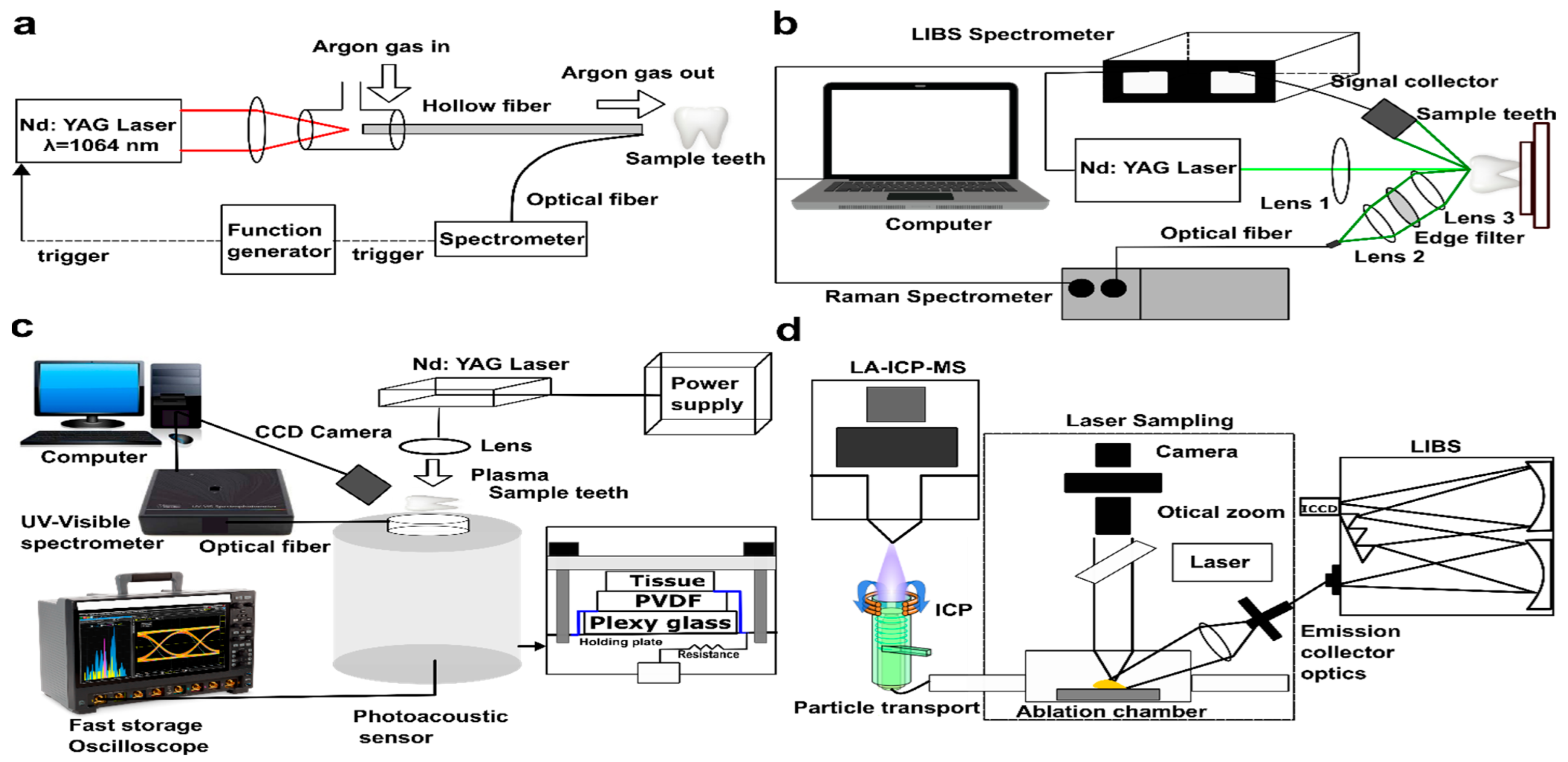Molecules 30 04176 g008