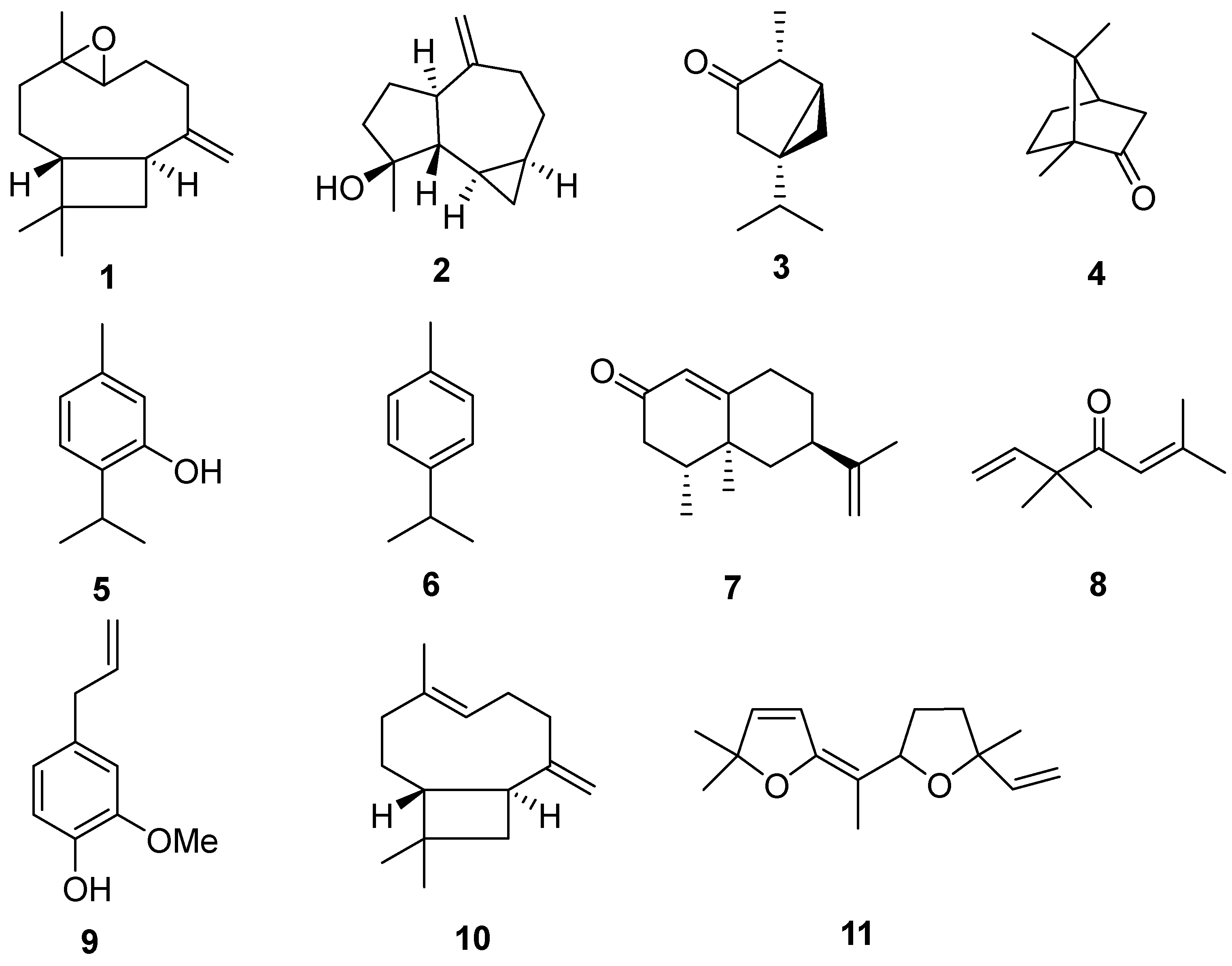 Molecules 30 04179 g001