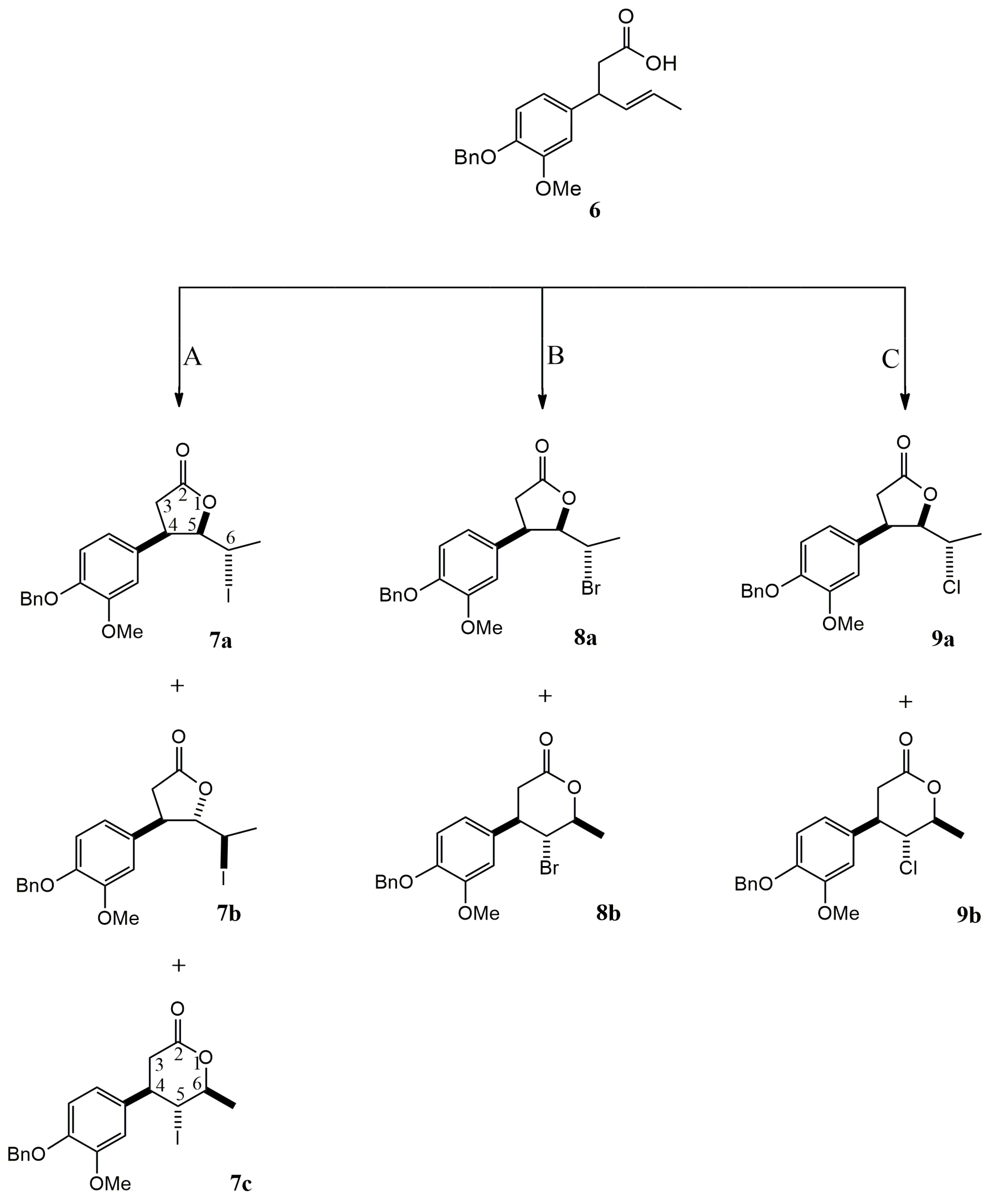 Molecules 30 04180 sch002