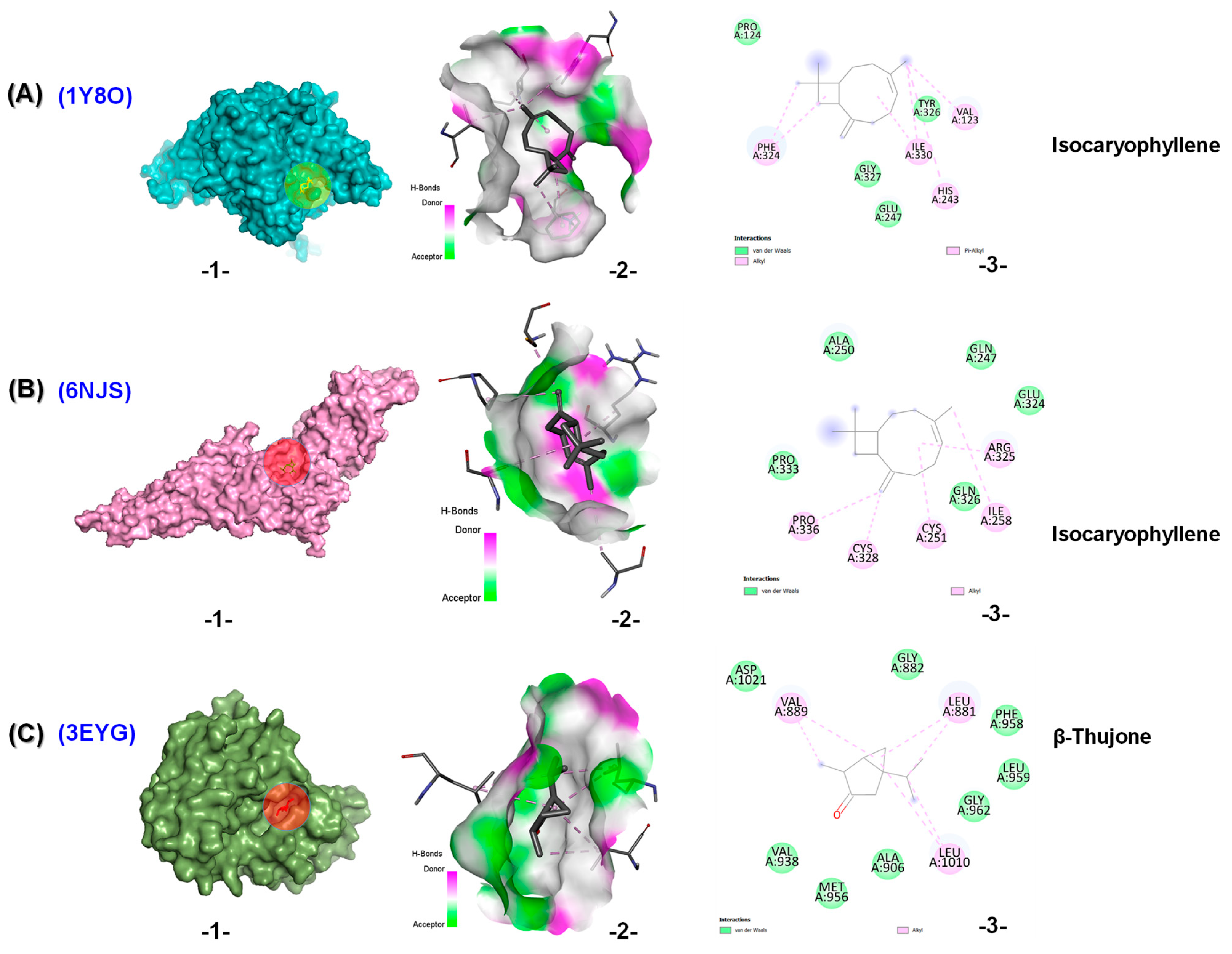 Molecules 30 04182 g005